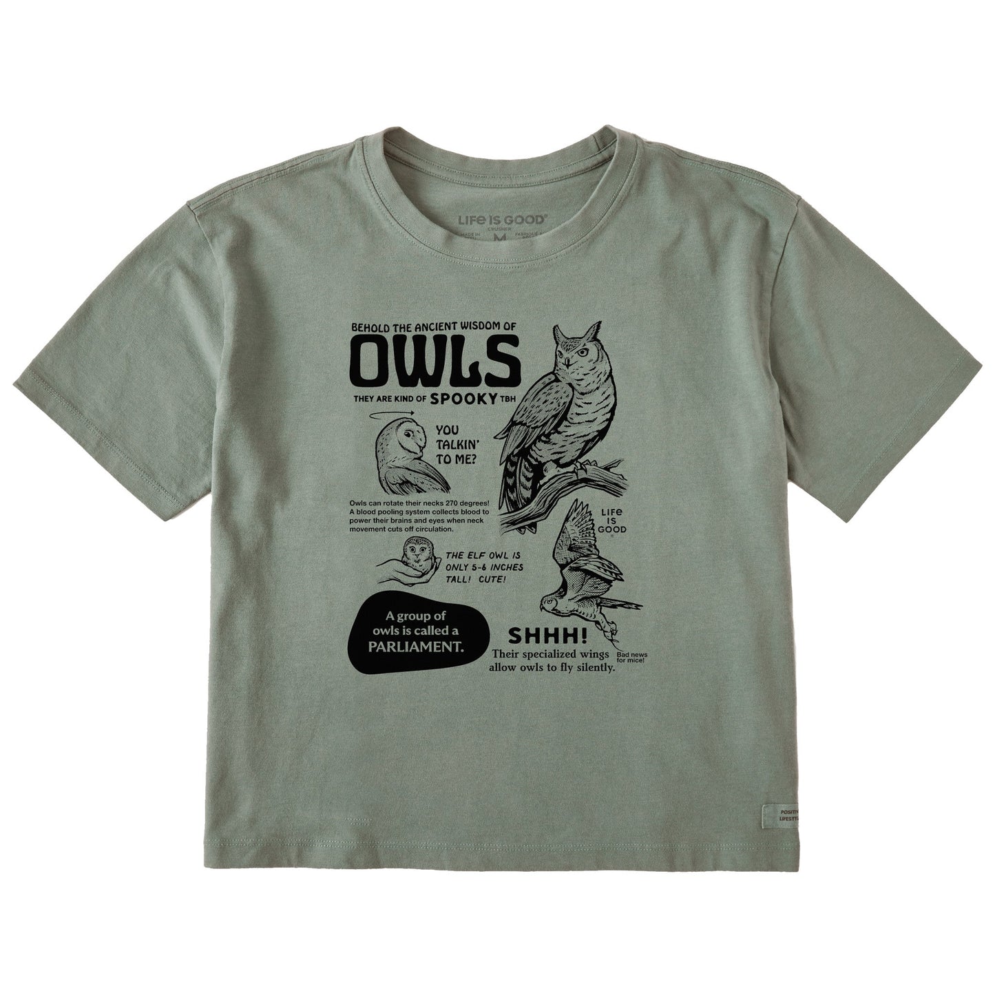 Women's The Wisdom of Owls Short Sleeve Crusher Boxy Tee