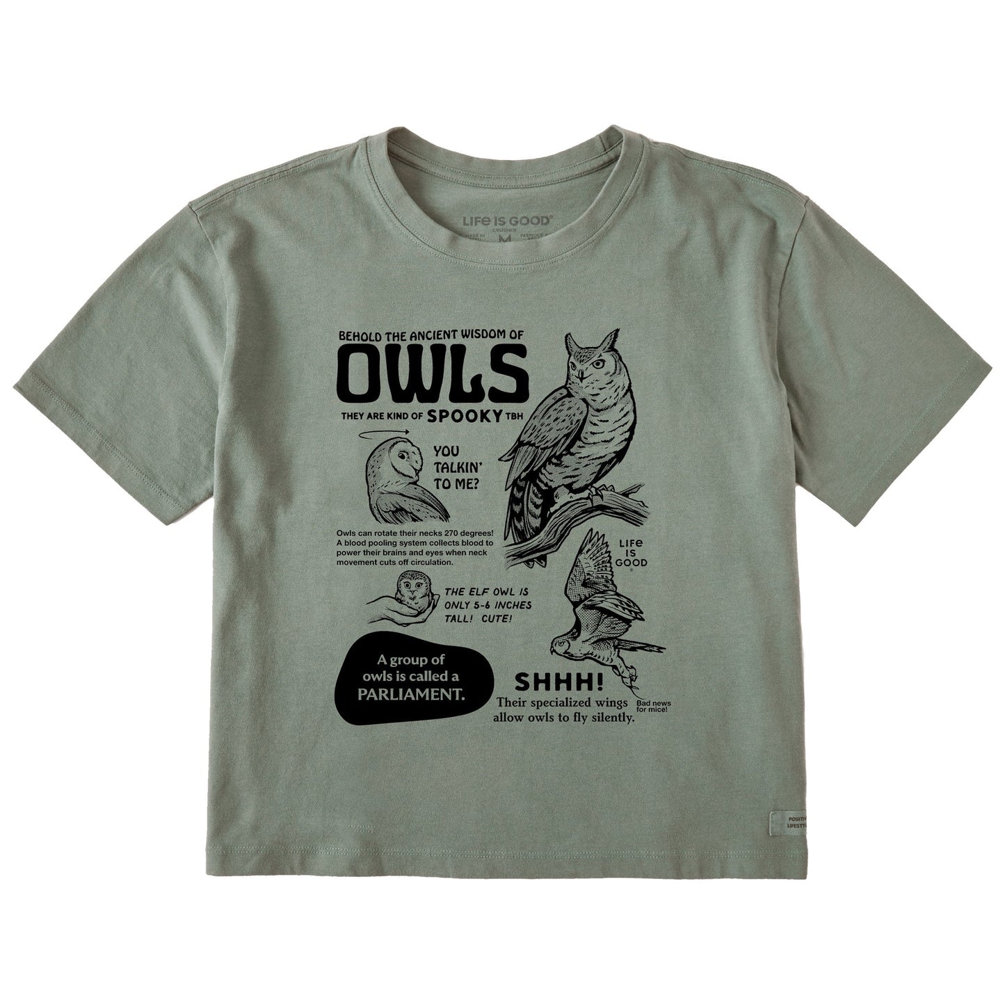 Women's The Wisdom of Owls Short Sleeve Crusher Boxy Tee