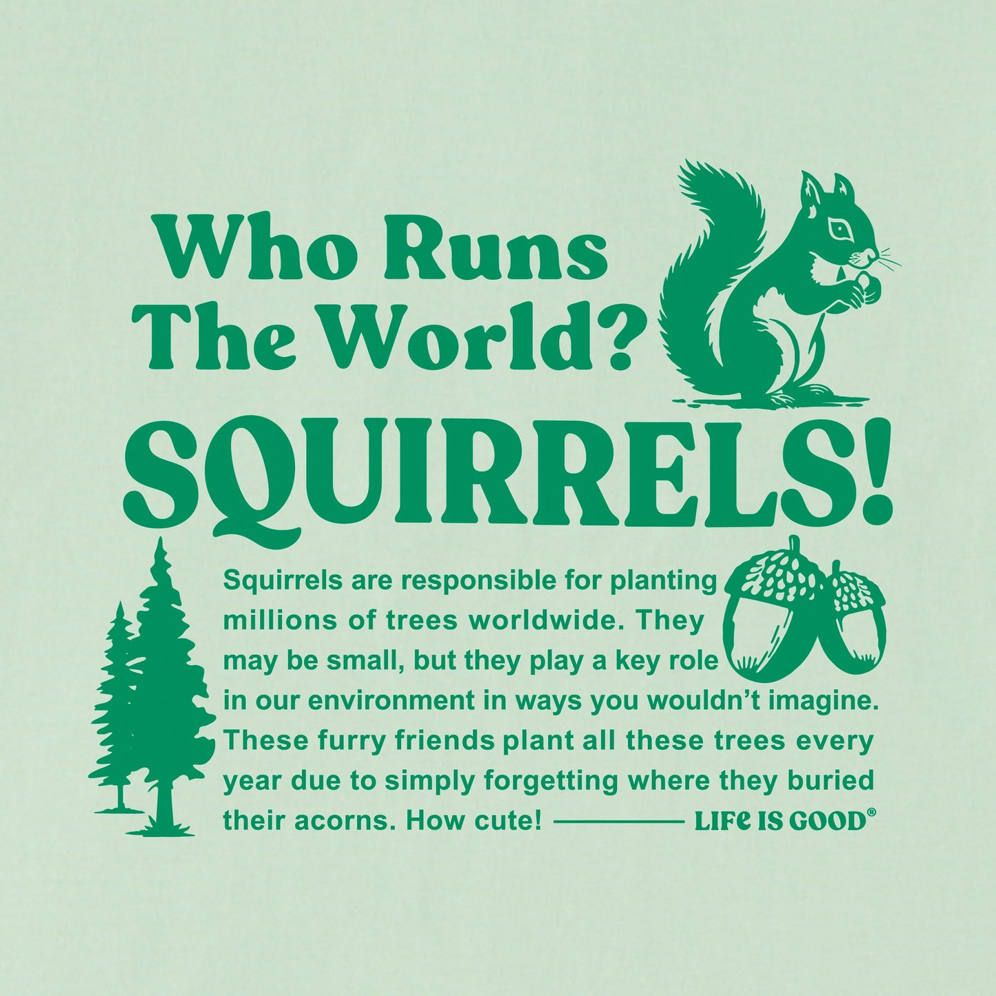 Women's Squirrels Run the World Short Sleeve Crusher Boxy Tee