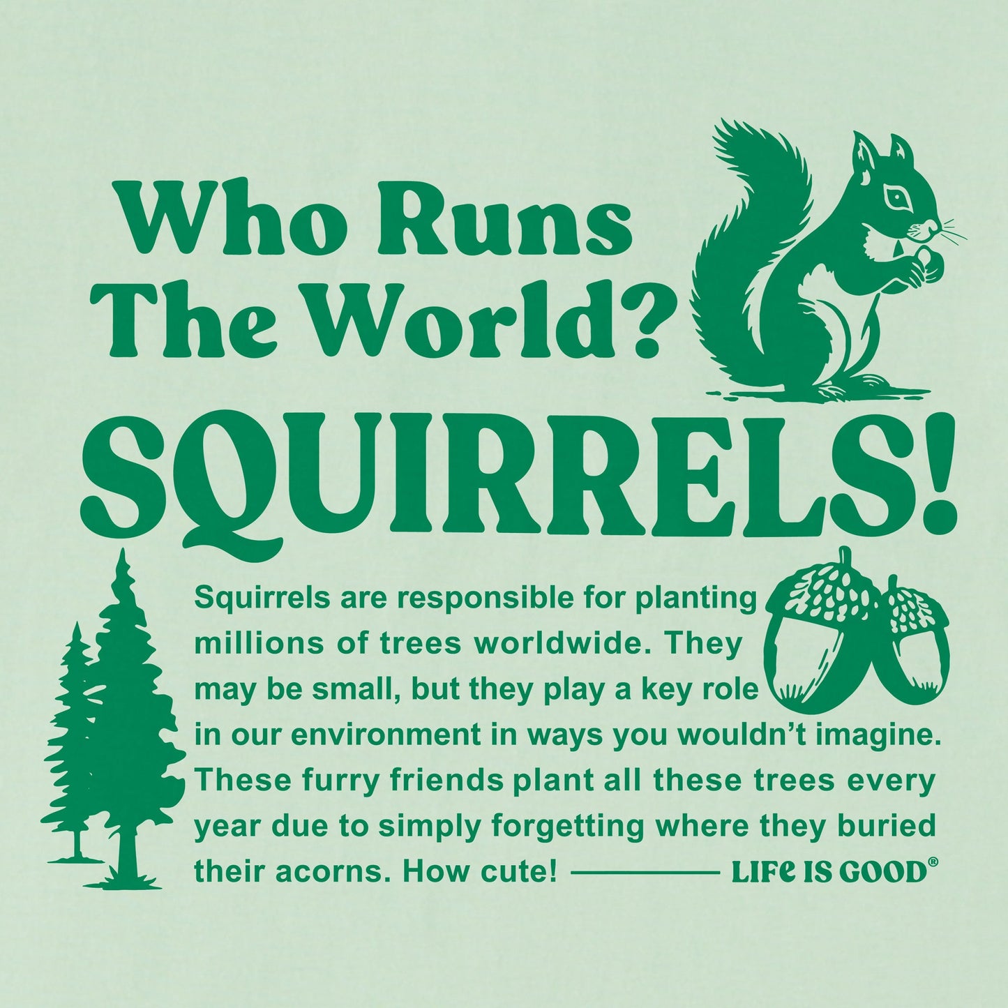 Women's Squirrels Run the World Short Sleeve Crusher Boxy Tee