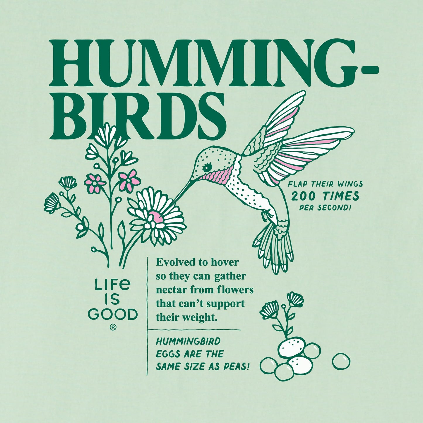 Kids Hummingbird Facts Short Sleeve Crusher Tee