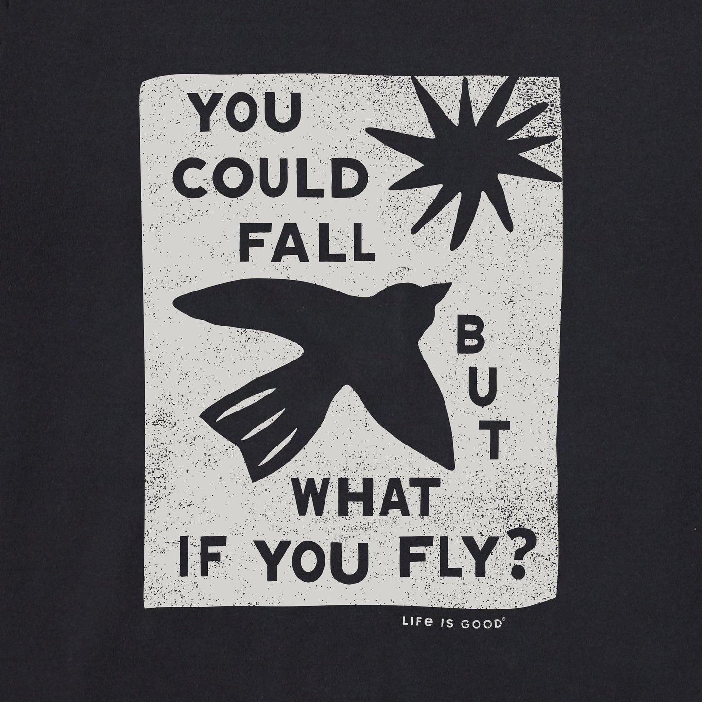 Men's But What if You Fly? Short Sleeve Crusher Tee