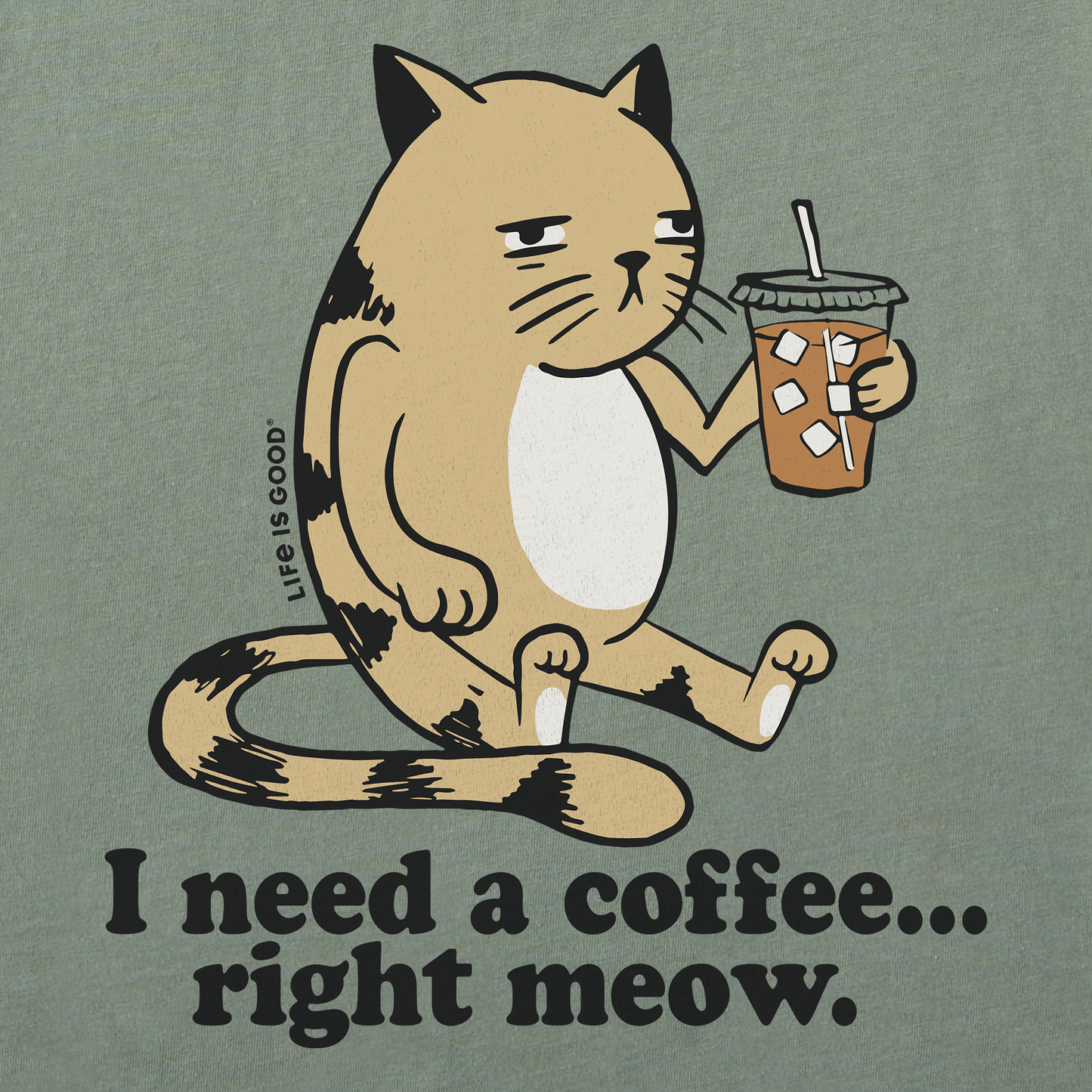 Men's I Need a Coffee Right Meow Short Sleeve Tee