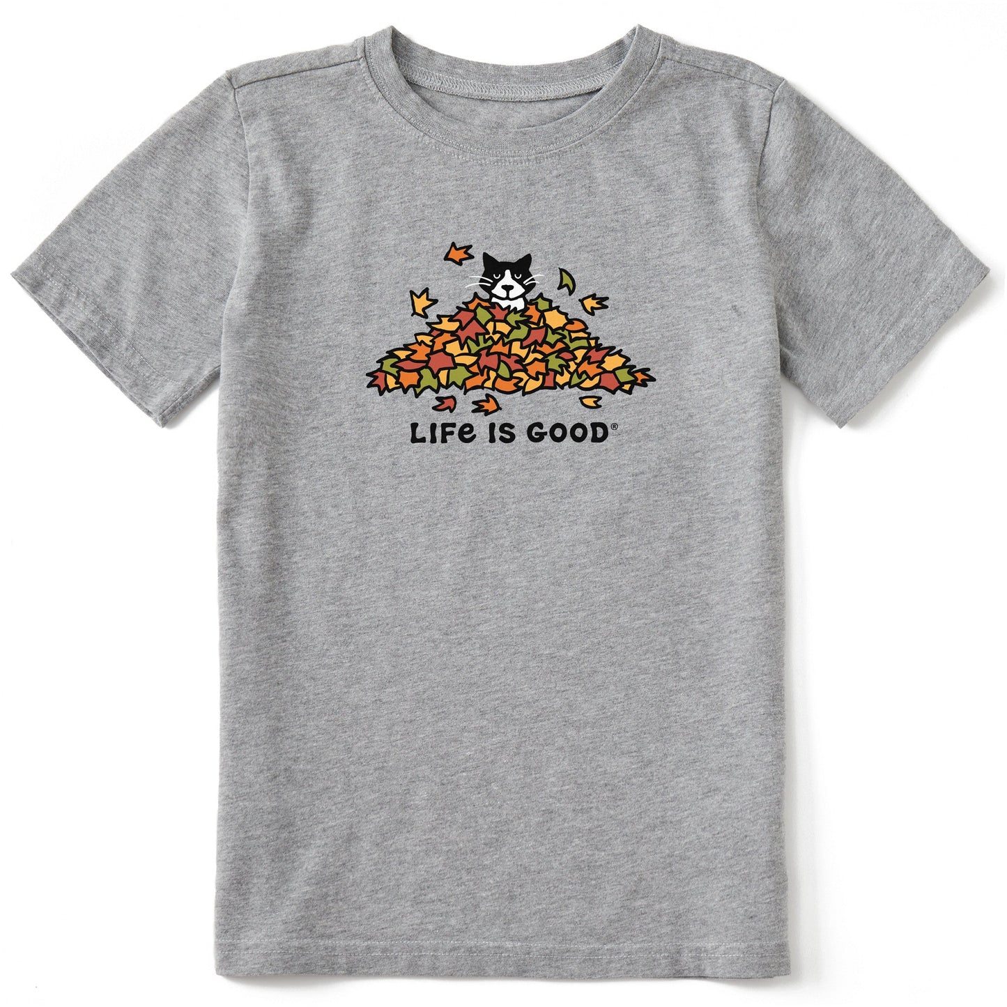 Kids Cat Gets Up and Leaves Short Sleeve Crusher Tee