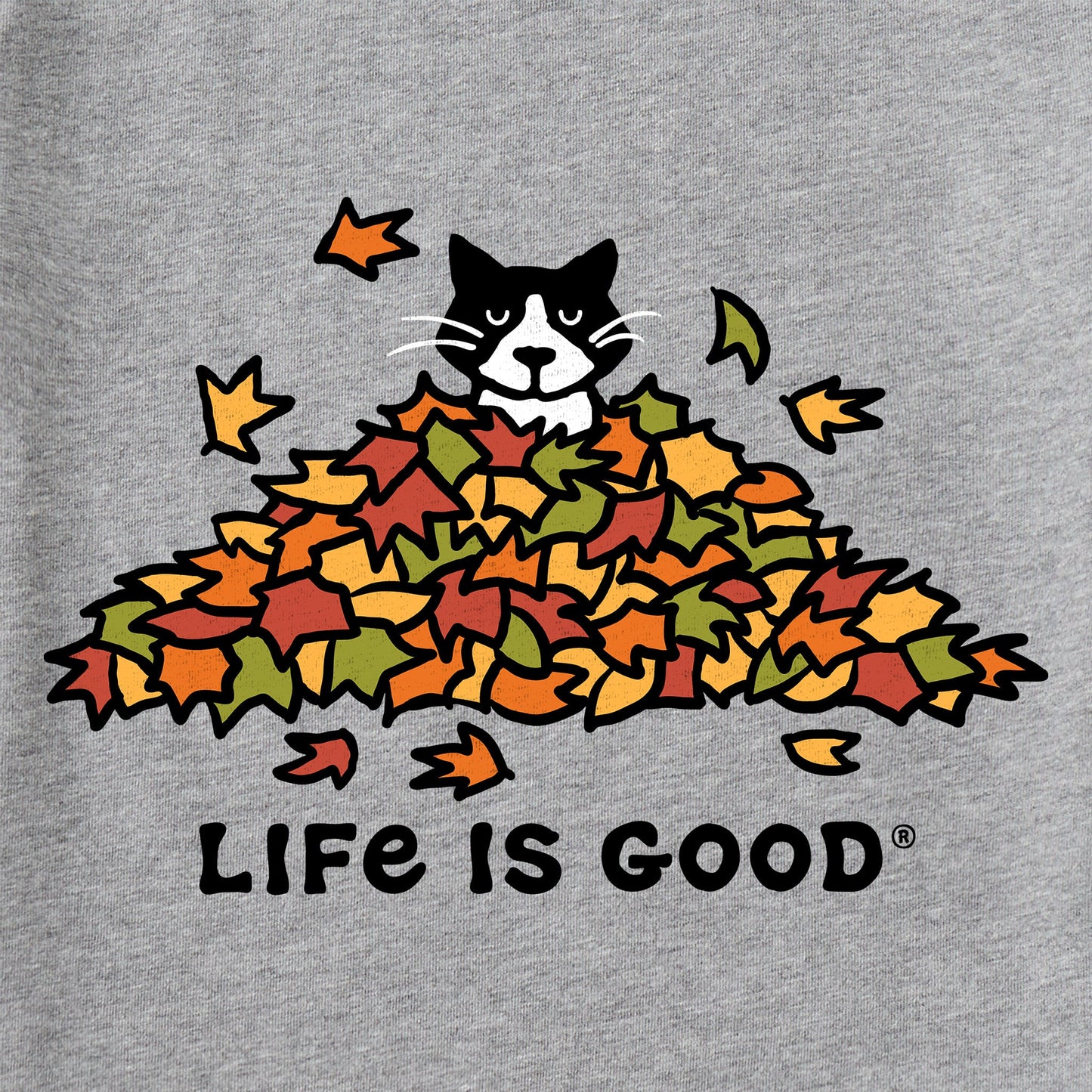 Kids Cat Gets Up and Leaves Short Sleeve Crusher Tee