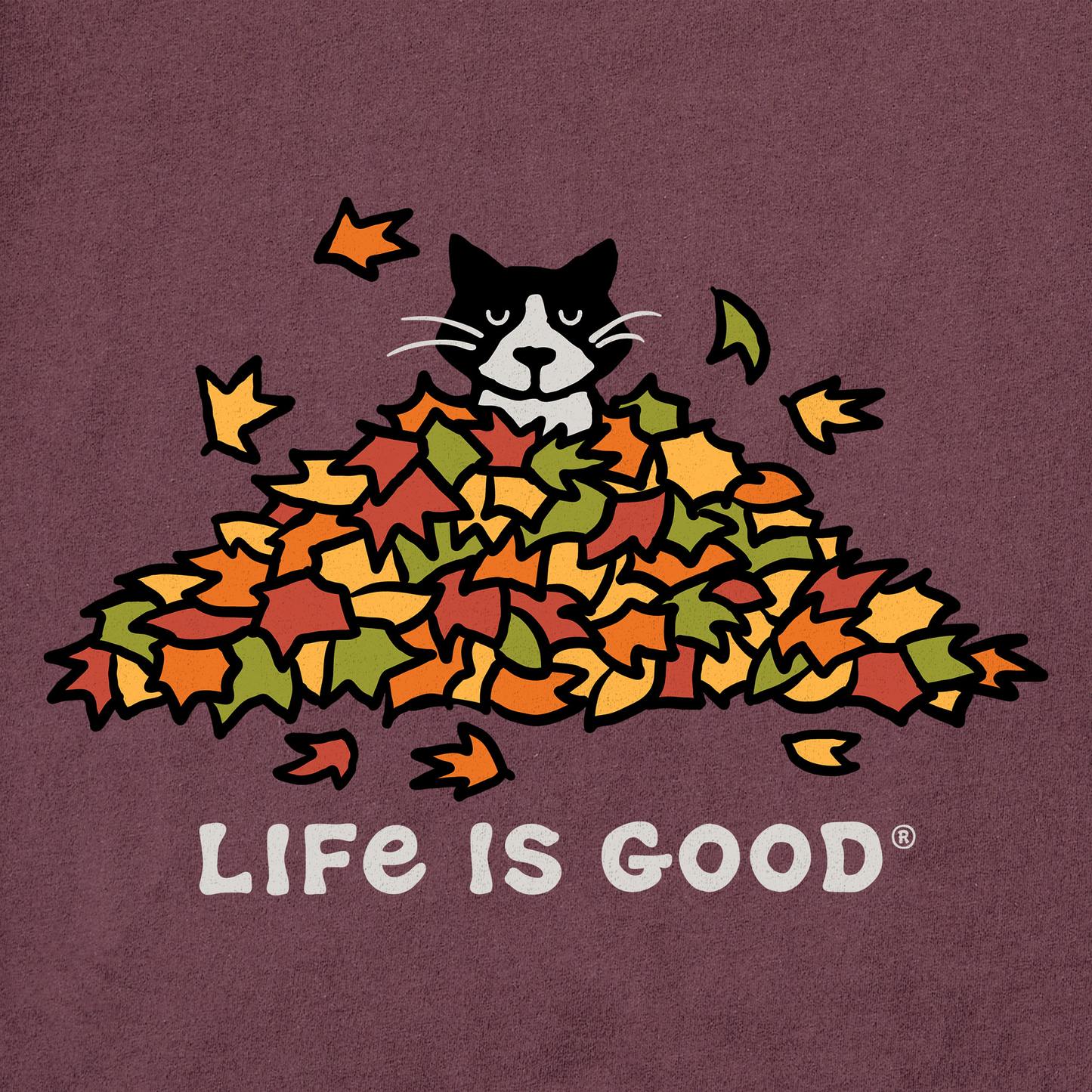 Men's Cat Gets Up and Leaves Short Sleeve Crusher Tee