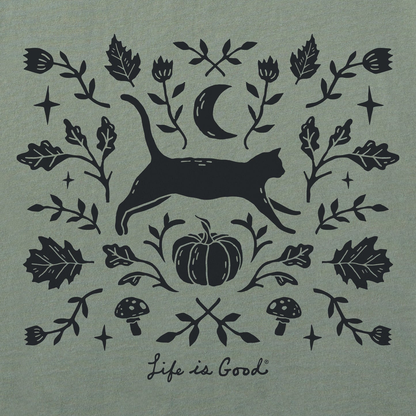 Women's Fall Foliage Cat Short Sleeve Crusher Boxy Tee