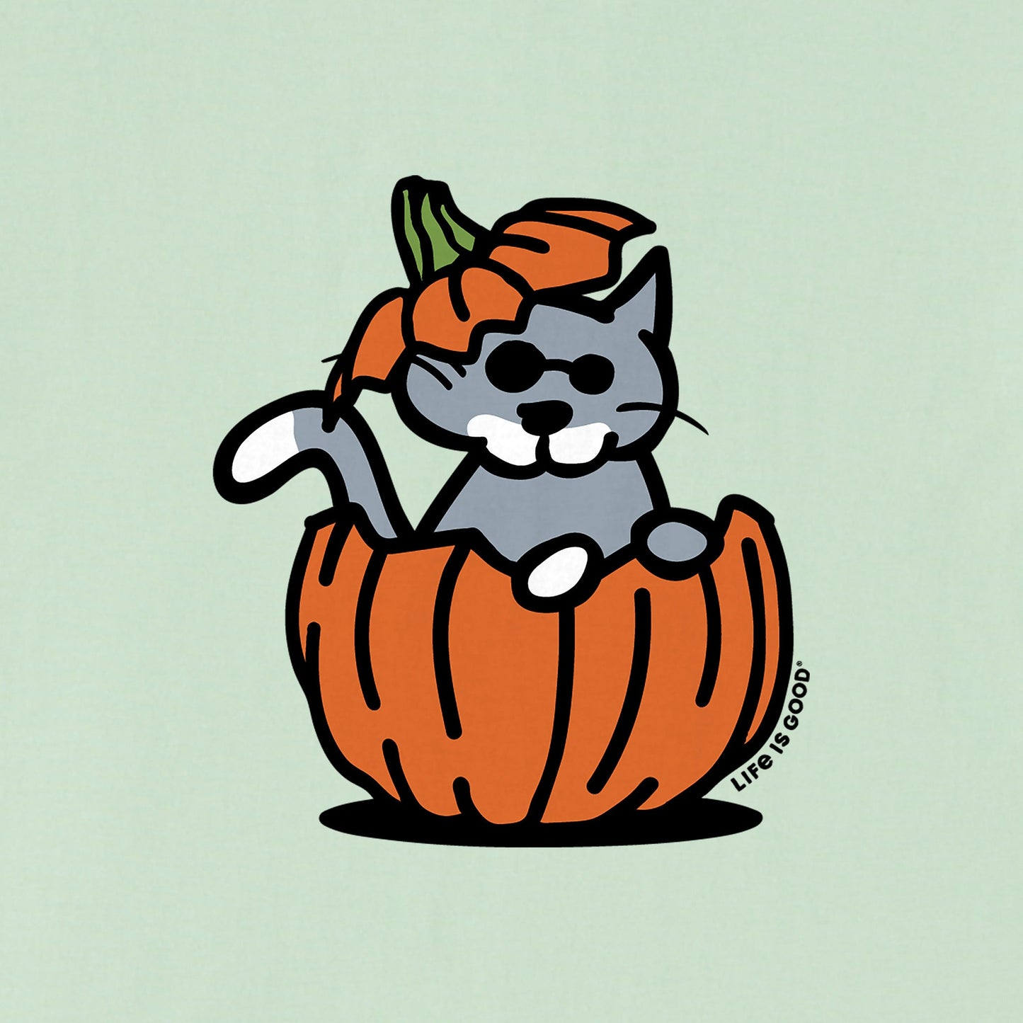 Women's Pumpkin House Cat Short Sleeve Crusher Vee