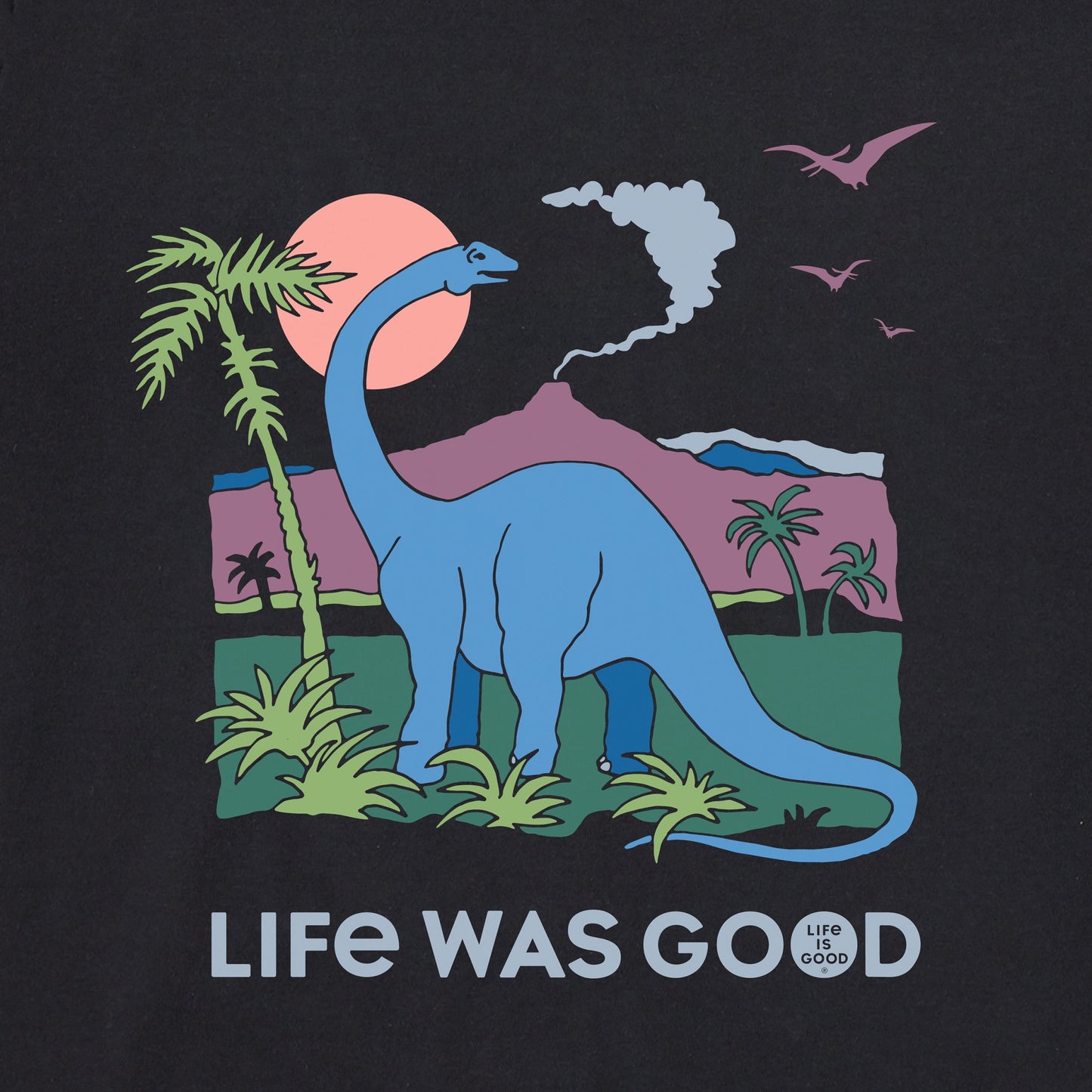 Women's Dinosaur Life was Good Long Sleeve Crusher Boxy Tee