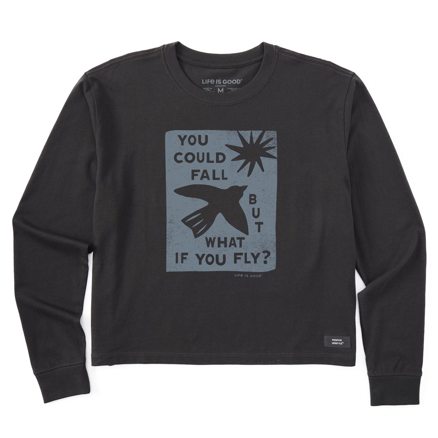 Women's But What if You Fly? Long Sleeve Crusher Boxy Tee
