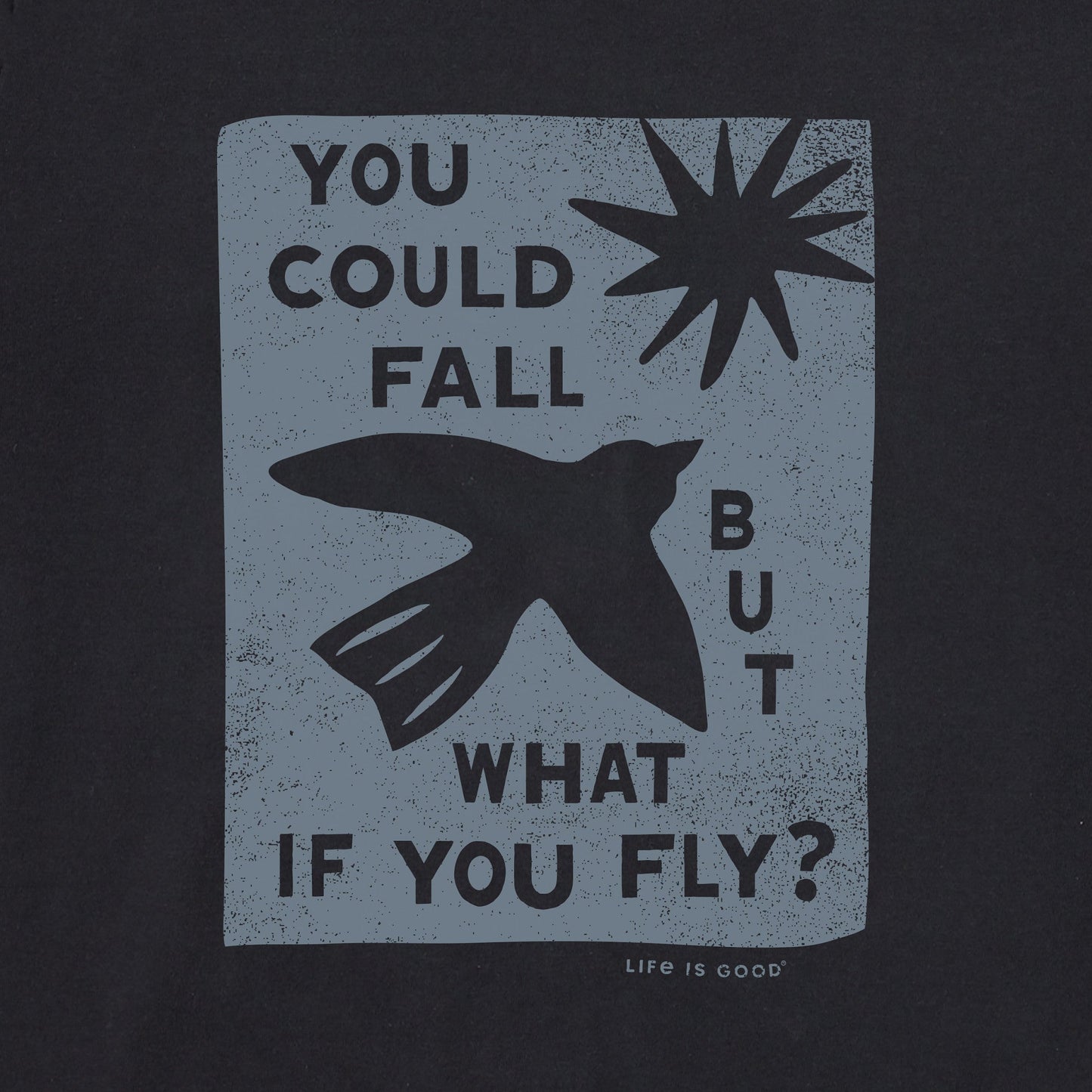 Women's But What if You Fly? Long Sleeve Crusher Boxy Tee