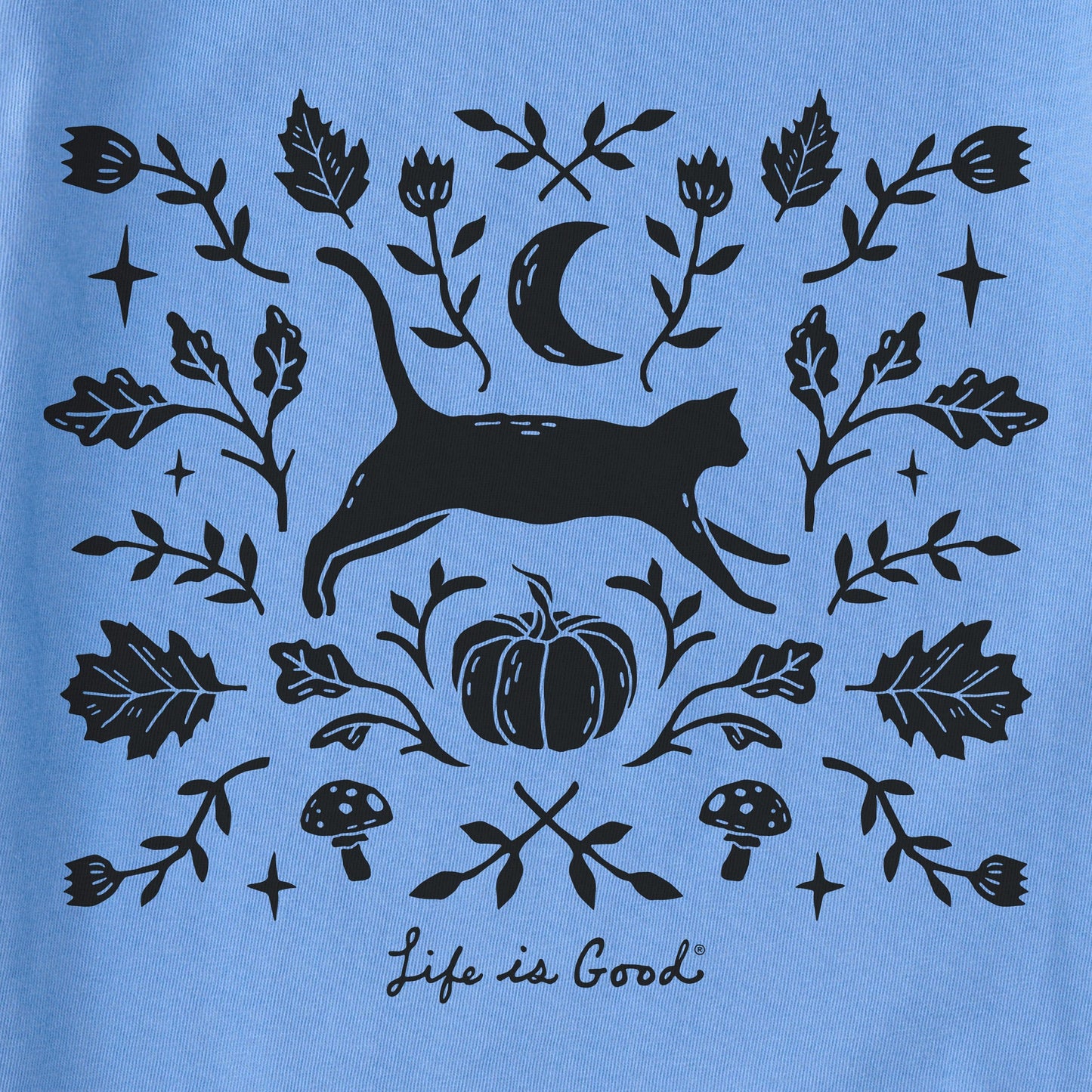 Women's Fall Foliage Cat Short Sleeve Crusher Boxy Tee