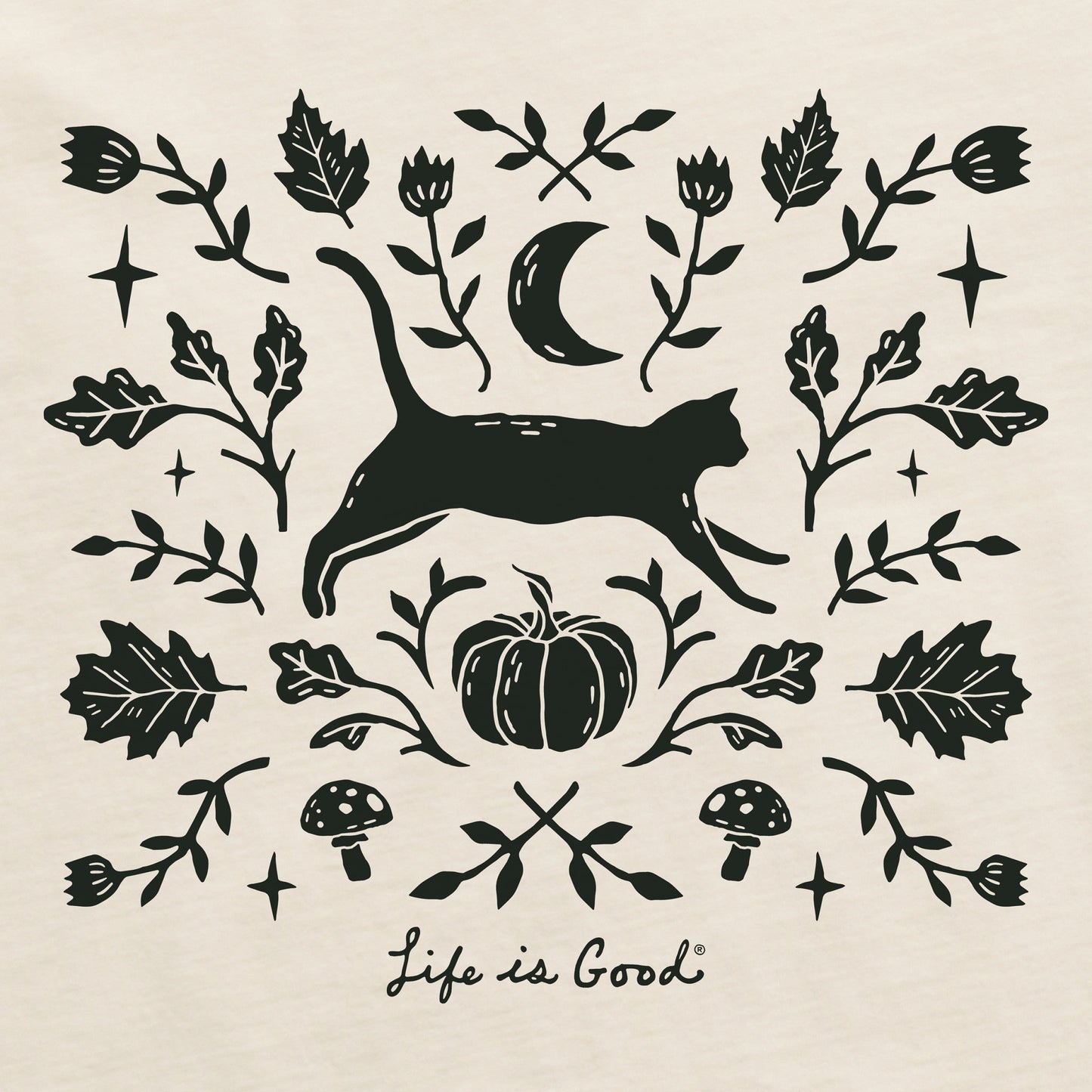 Women's Fall Foliage Cat Short Sleeve Crusher Boxy Tee