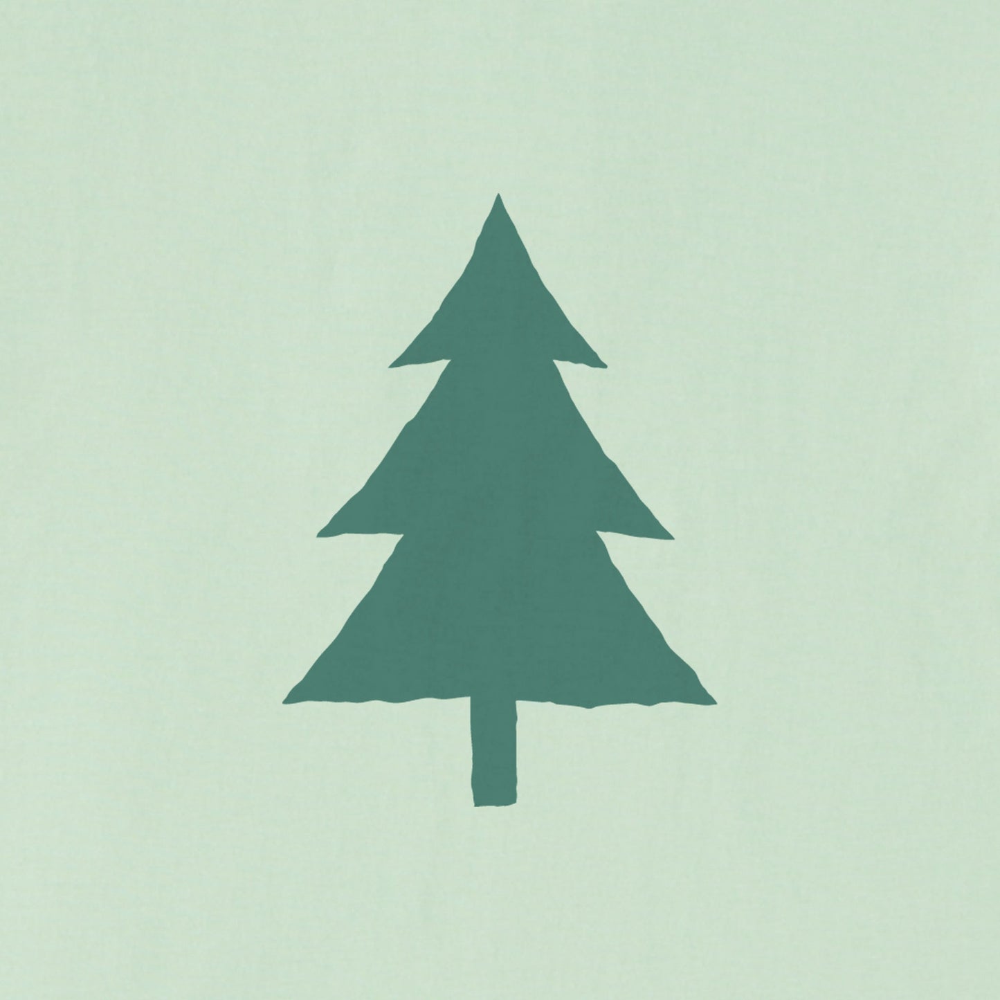 Women's Bert's Evergreen Short Sleeve Crusher Boxy Tee