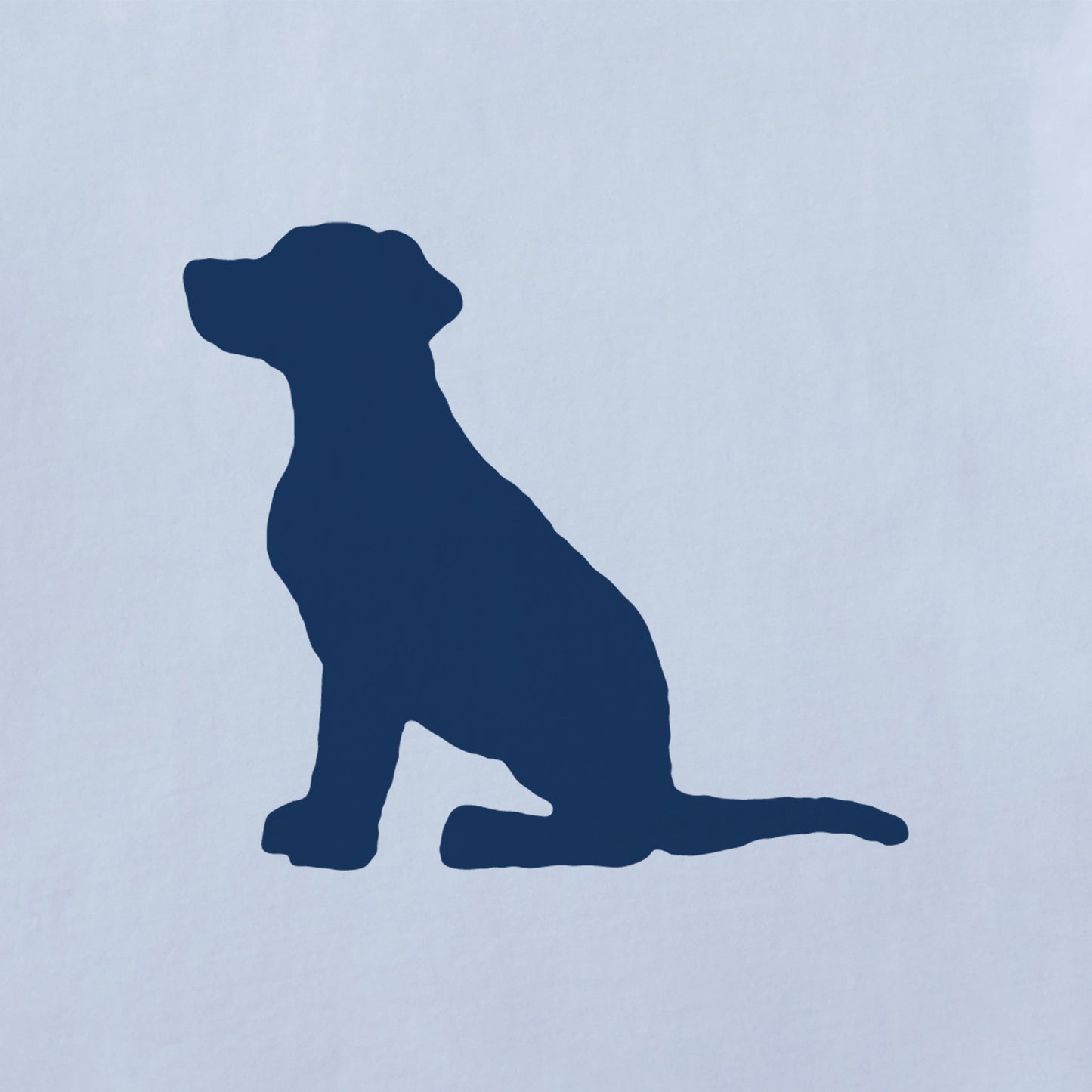 Women's Bert's Dog Short Sleeve Crusher Boxy Tee