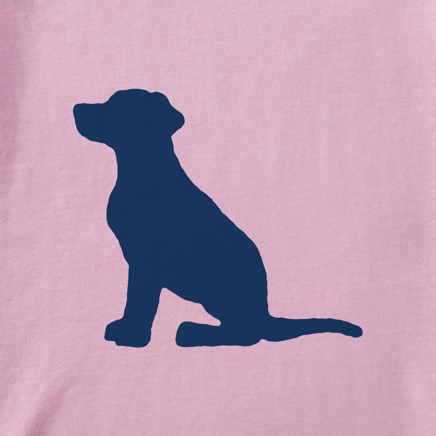 Women's Bert's Dog Short Sleeve Crusher Boxy Tee