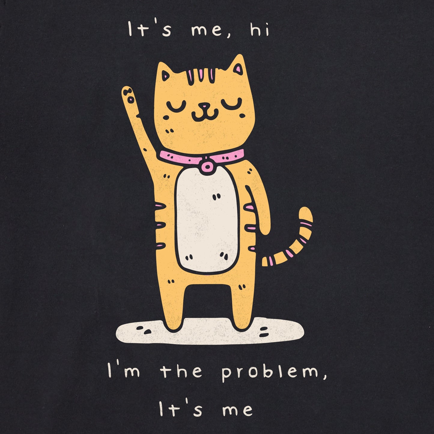 Women's Cat I'm the Problem Short Sleeve Crusher Boxy Tee