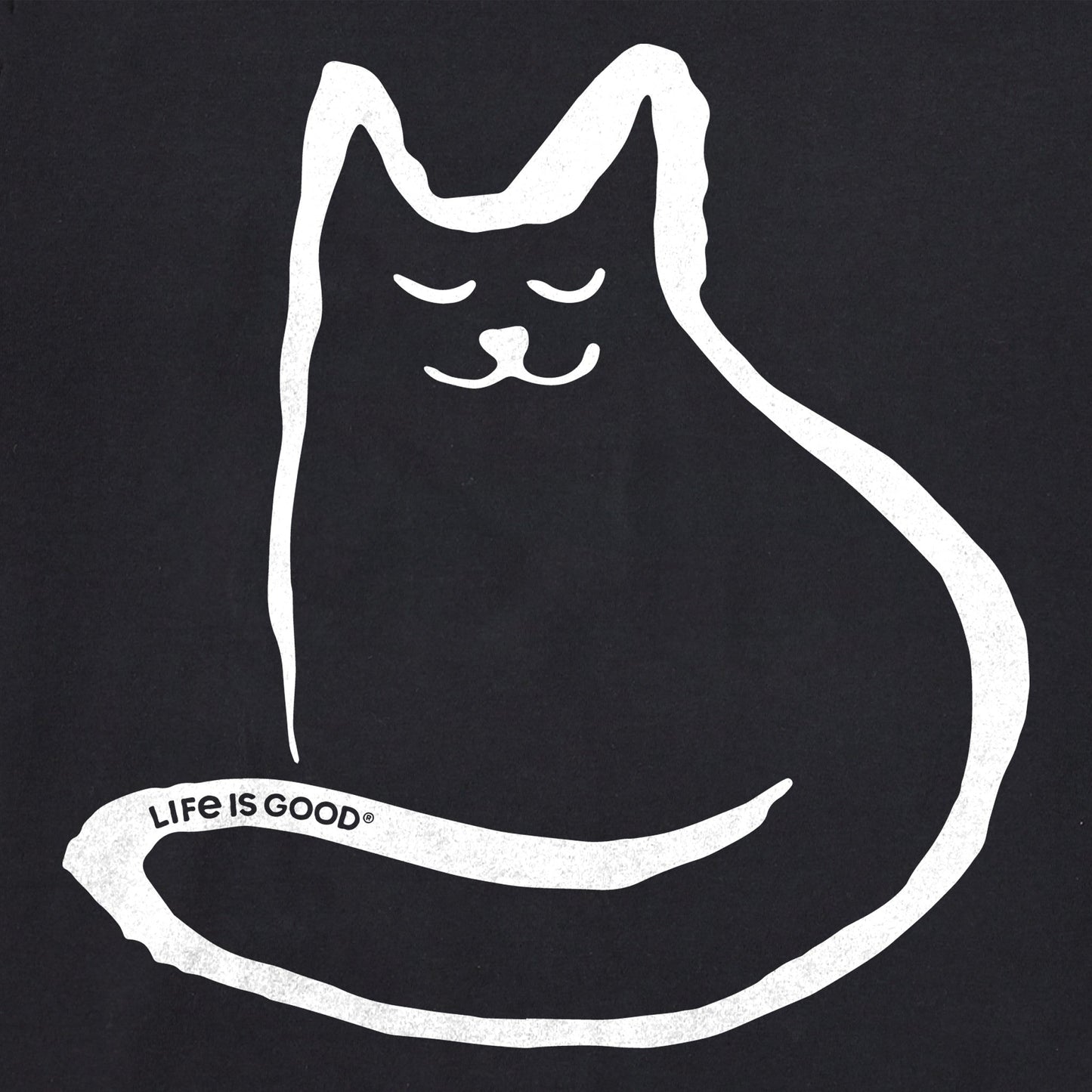 Women's Simple Cat Short Sleeve Crusher Boxy Tee