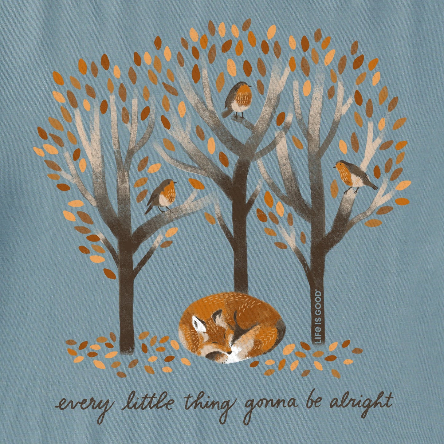 Women's Every Little Thing Fox Short Sleeve Tee