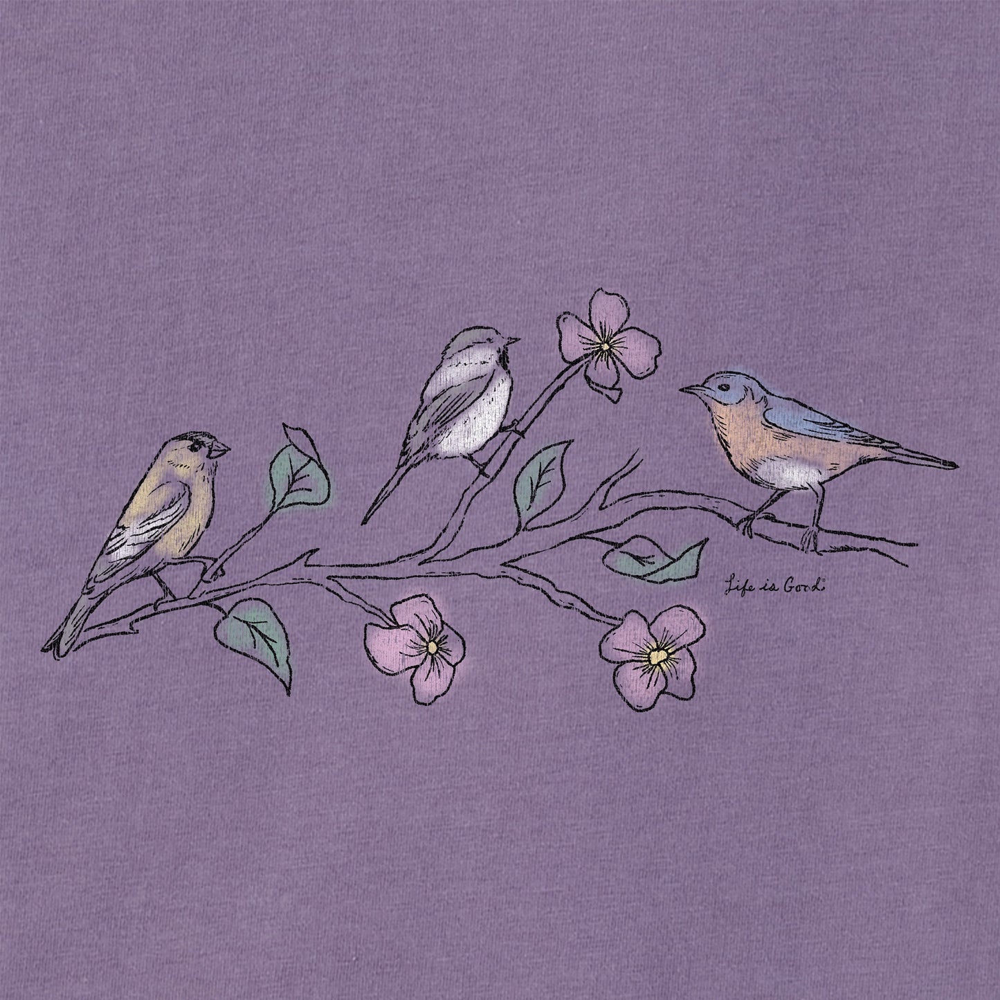 Women's Three Birds Short Sleeve Crusher Boxy Tee