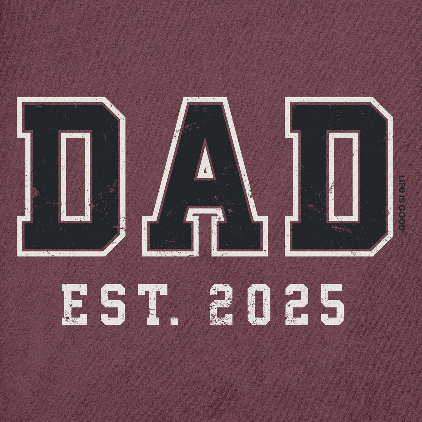 Men's Dad Est 2025 Short Sleeve Crusher Tee