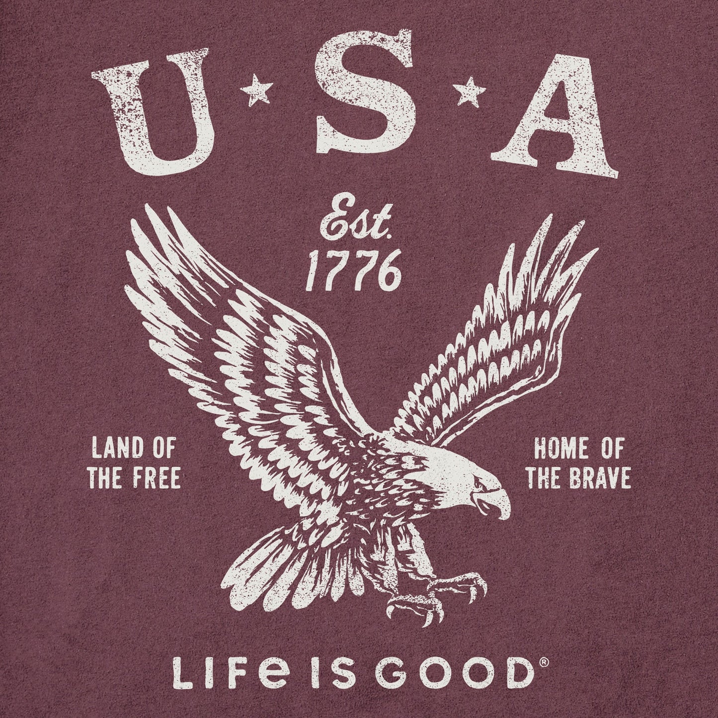 Men's USA 1776 Eagle Short Sleeve Tee