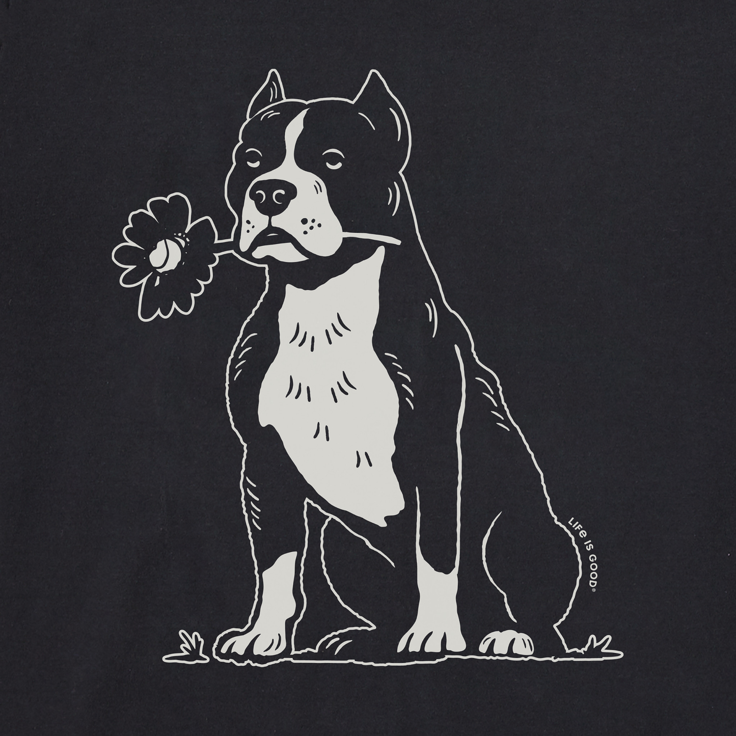 Men's Bert's Pit with Flower Short Sleeve Crusher Tee