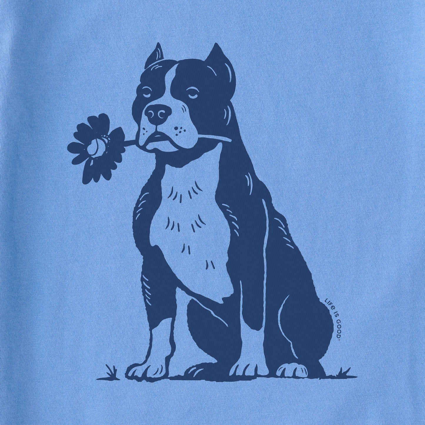 Women's Bert's Pit with Flower Short Sleeve Crusher Boxy Tee