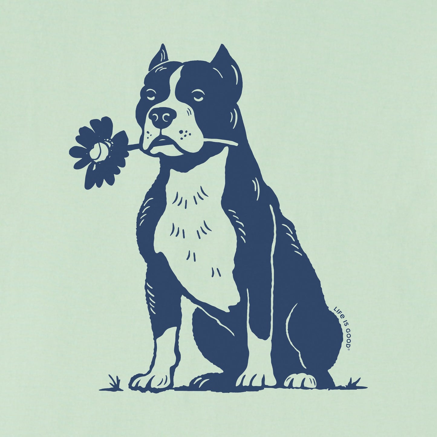 Women's Bert's Pit with Flower Short Sleeve Crusher Boxy Tee