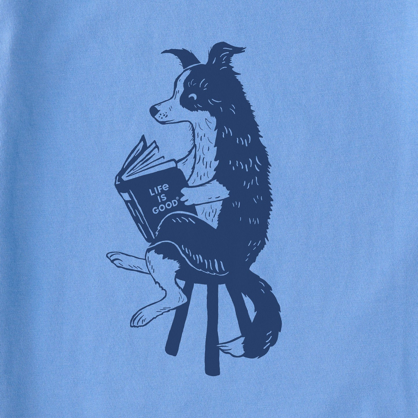 Women's Bert's Collie with Book Short Sleeve Crusher Boxy Tee