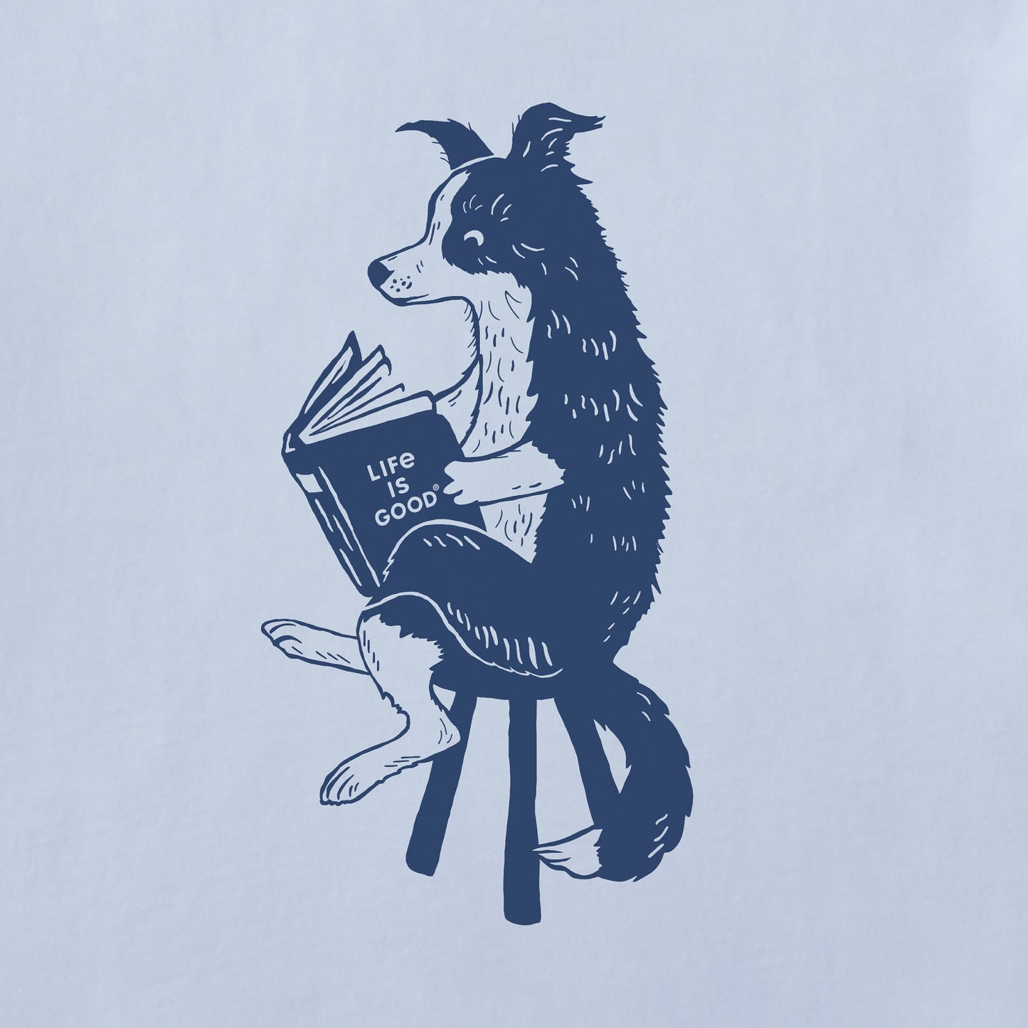 Women's Bert's Collie with Book Short Sleeve Crusher Boxy Tee