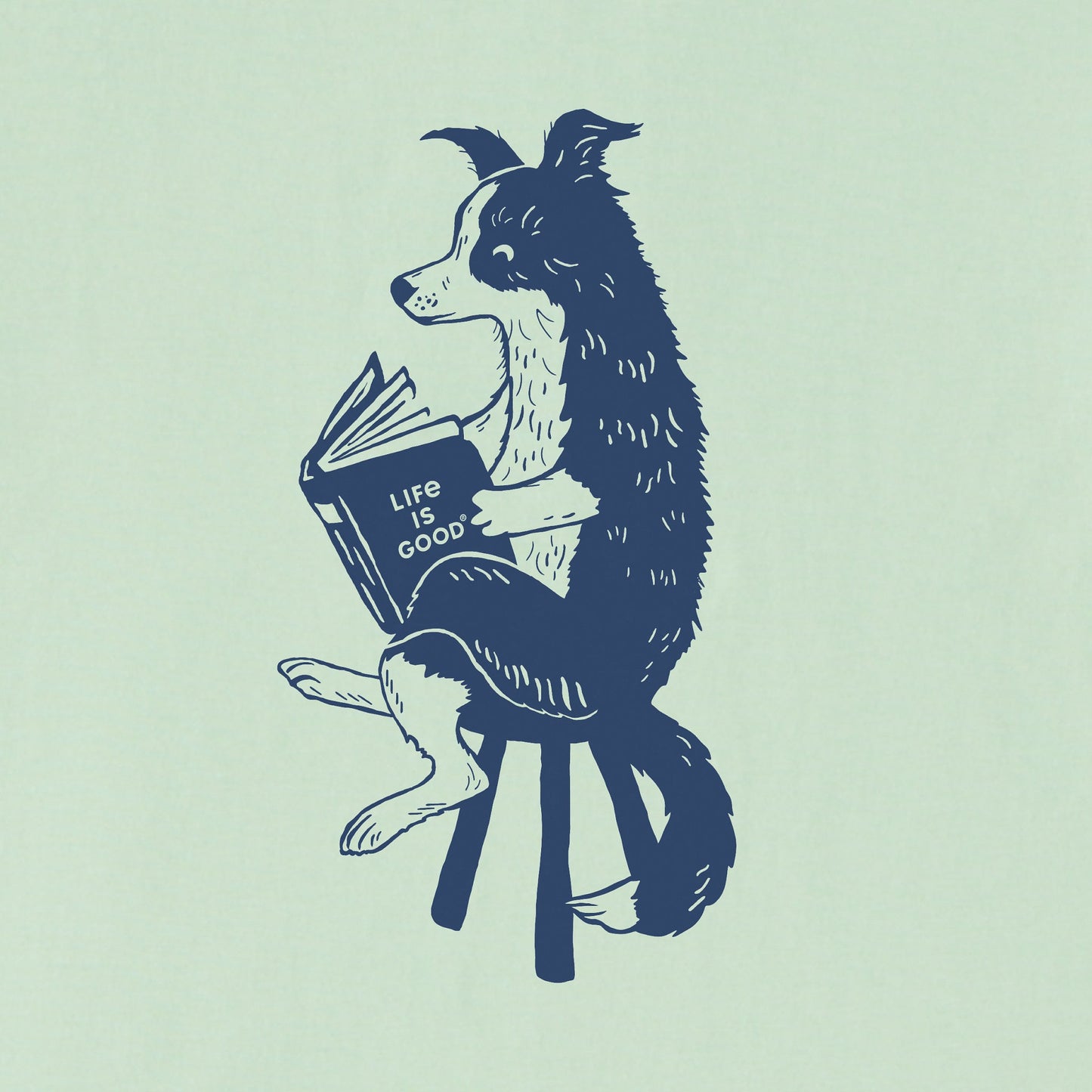 Women's Bert's Collie with Book Short Sleeve Crusher Boxy Tee