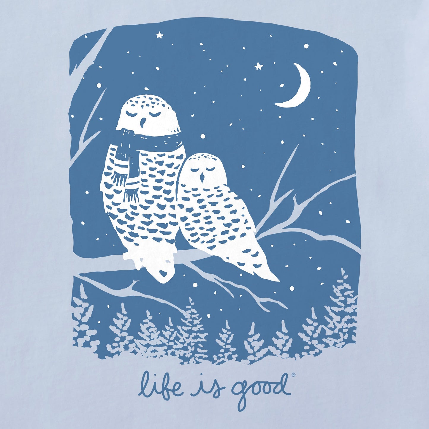 Women's Snowy Owl Cuddle Short Sleeve Crusher Tee