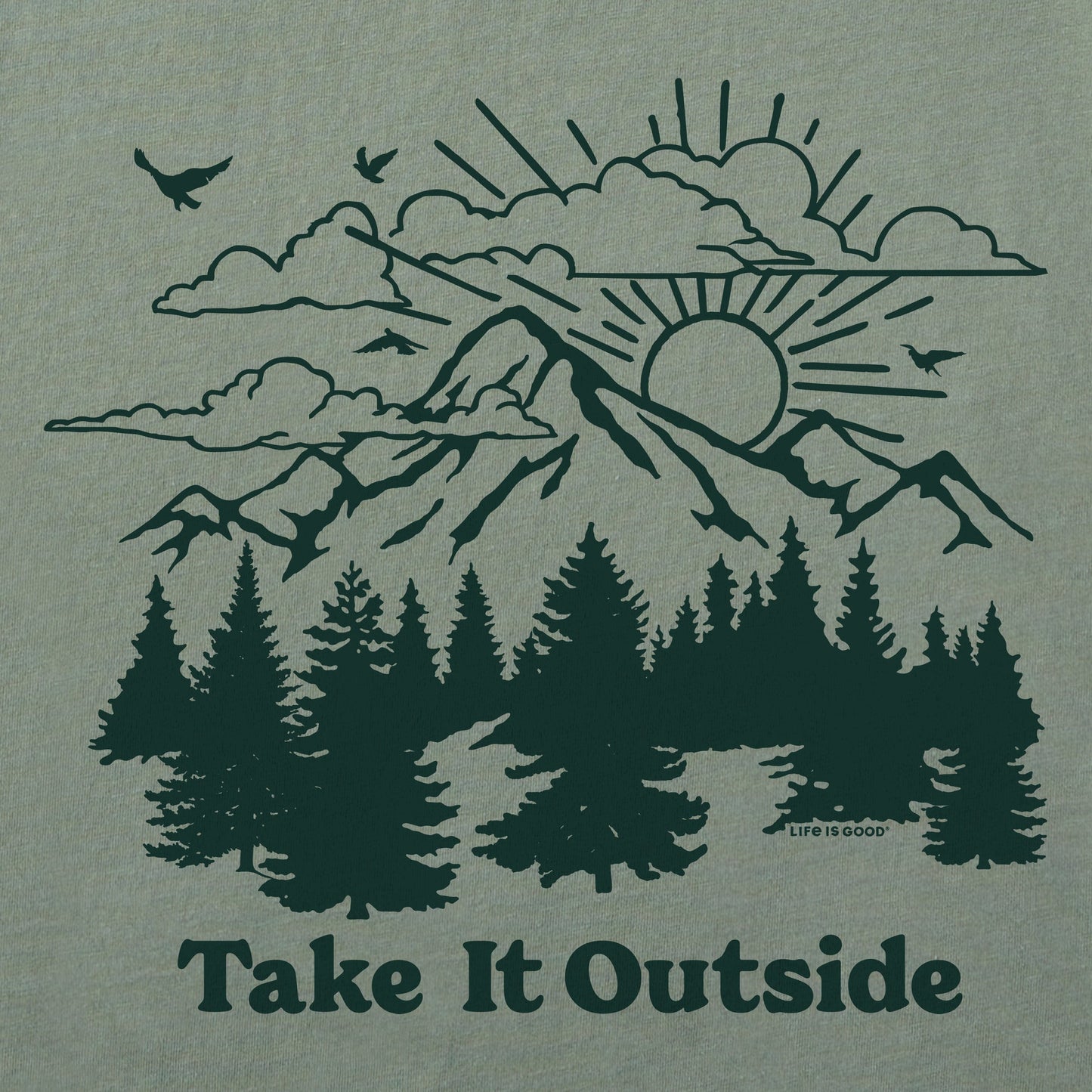 Women's Take it Outside Pinescape Short Sleeve Crusher Boxy Tee