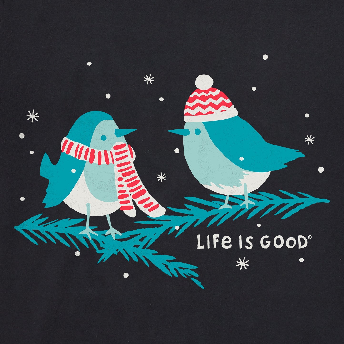 Women's Cozy Birds Short Sleeve Crusher Vee