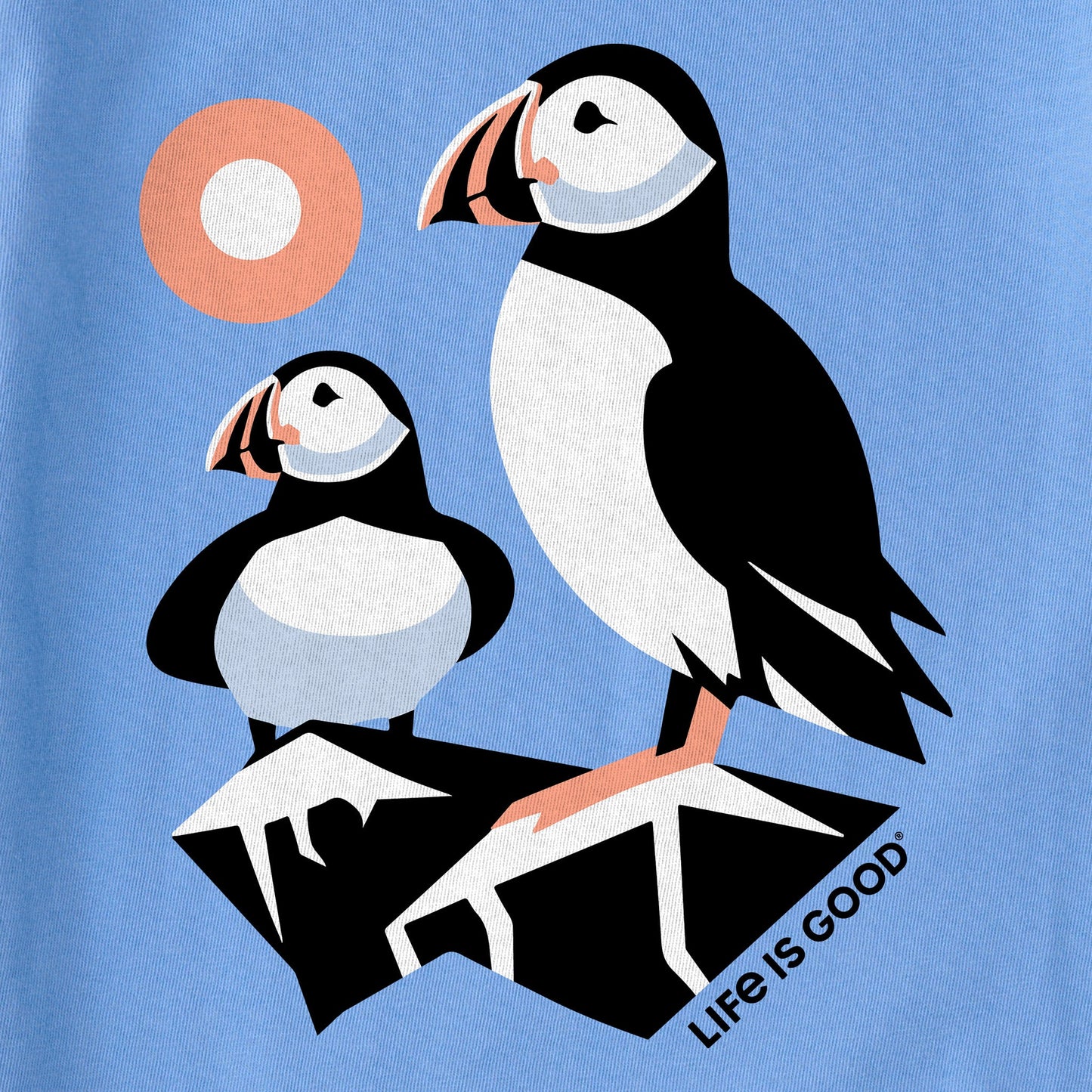 Kids Pair of Puffins Short Sleeve Crusher Tee