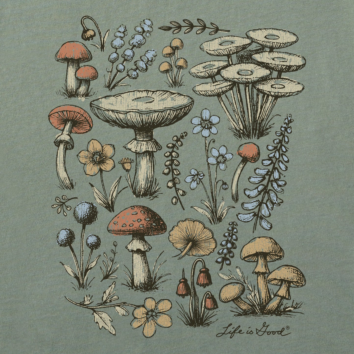 Women's Botanical Shrooms & Wildflowers Short Sleeve Crusher Boxy Tee