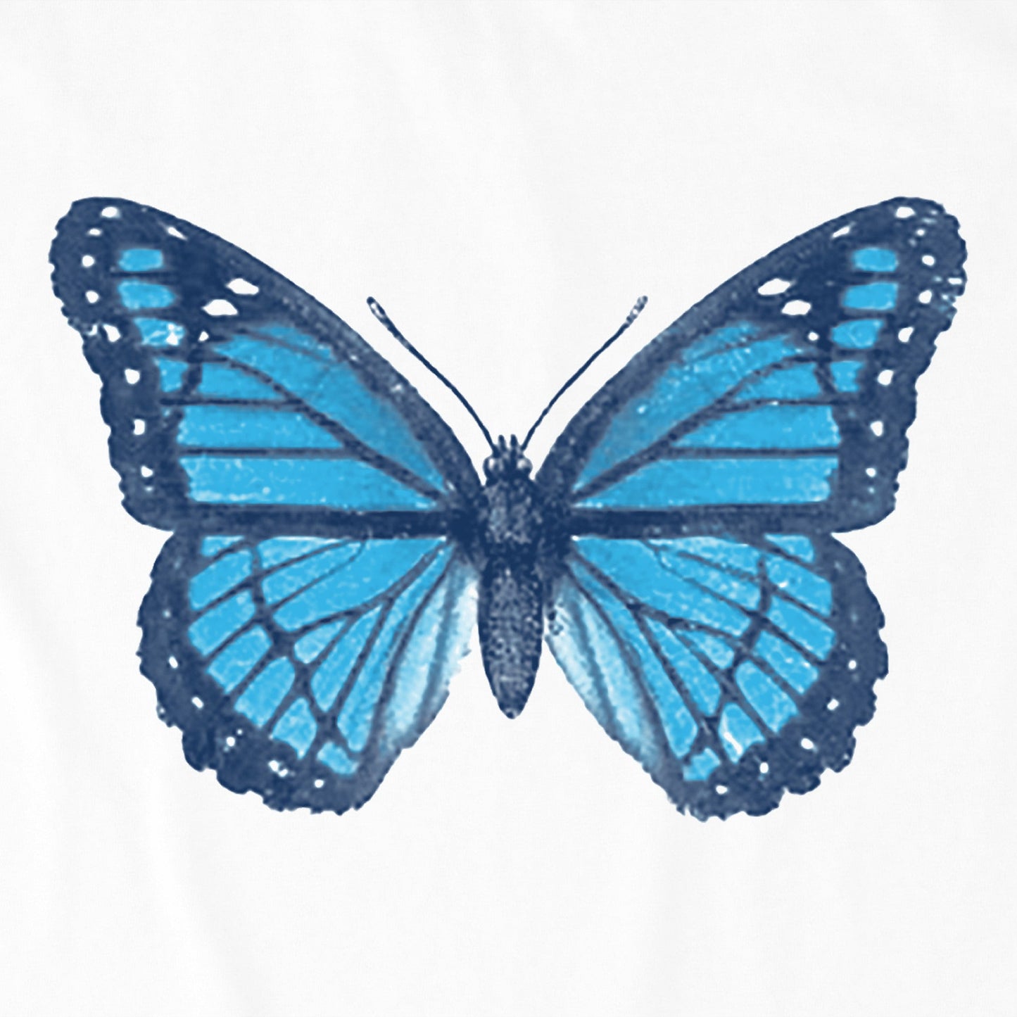 Women's Antique Floral Butterfly Short Sleeve Crusher Boxy Tee