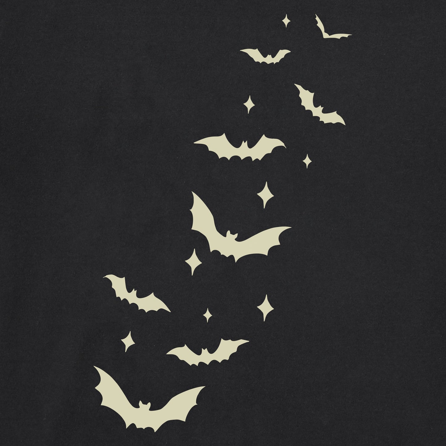 Women's Flying Bats Long Sleeve Crusher Tee