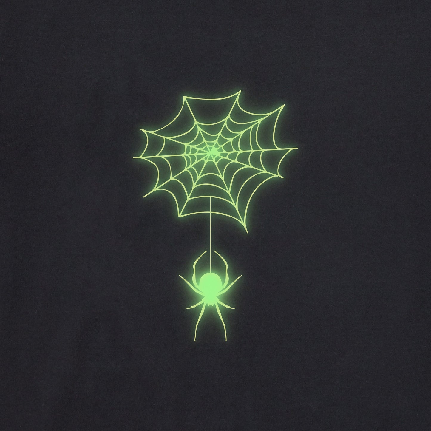 Women's Spooky Spiderweb Long Sleeve Crusher Tee