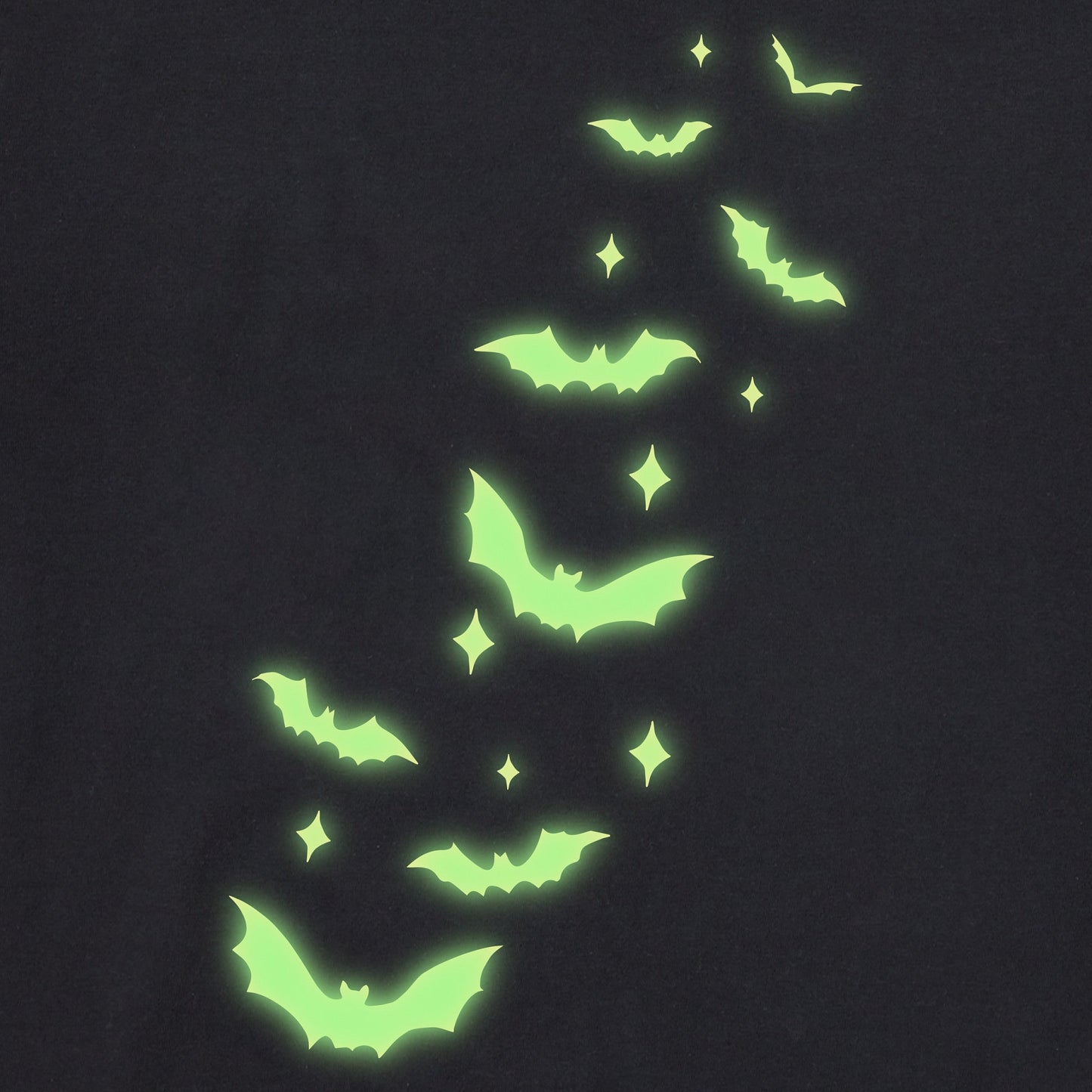 Women's Flying Bats Long Sleeve Crusher Boxy Tee