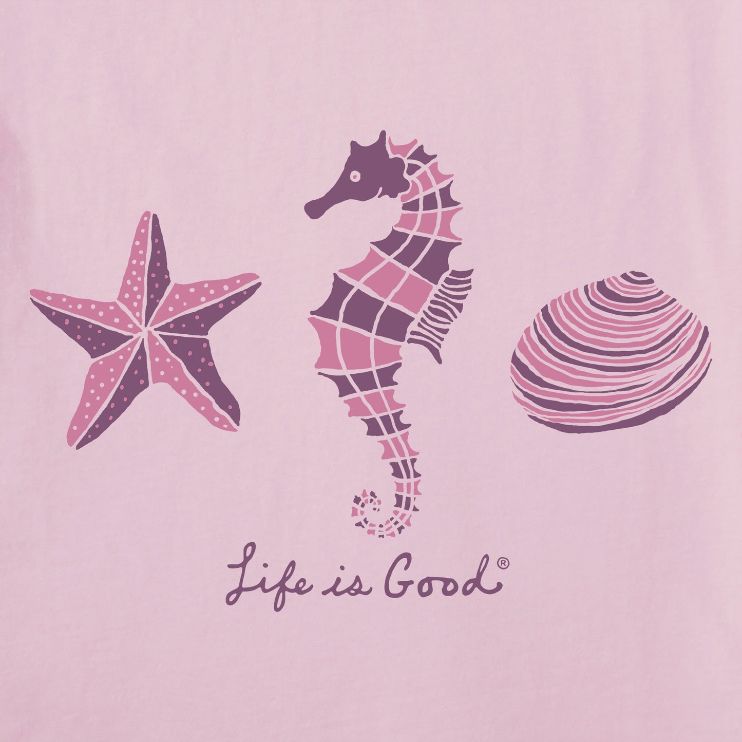 Women's Star, Sea, Shell Short Sleeve Vee