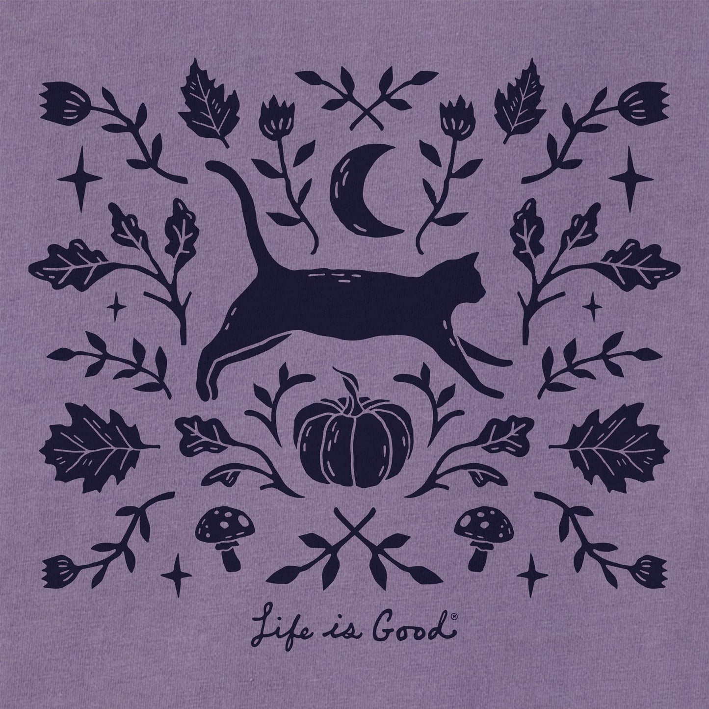 Women's Fall Foliage Cat Short Sleeve Crusher Boxy Tee