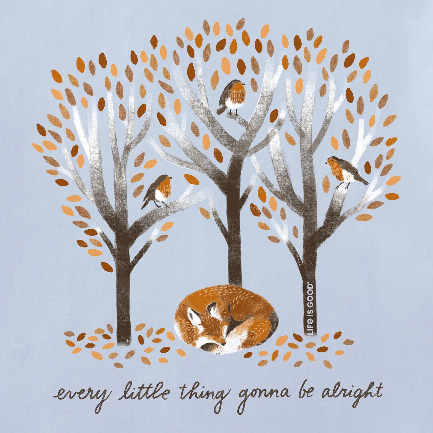 Women's Every Little Thing Fox Short Sleeve Tee