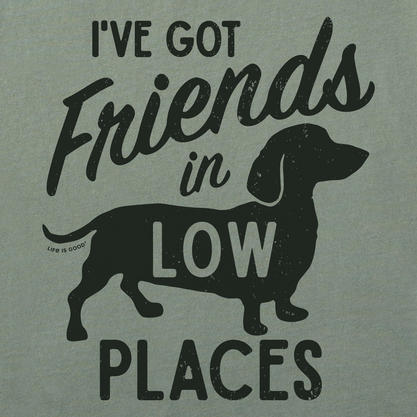 Women's Friends in Low Places Dachshund Crusher-LITE Shrunken Tee