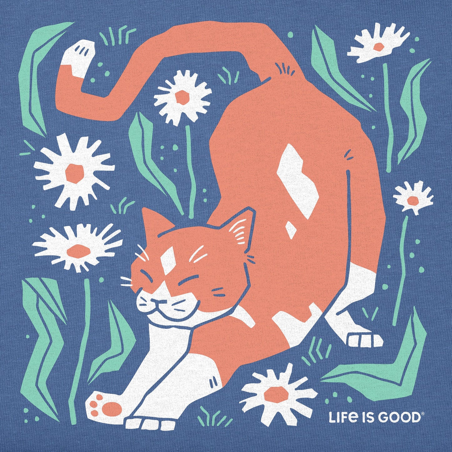 Kids Big Stretch Cat Short Sleeve Crusher Tee