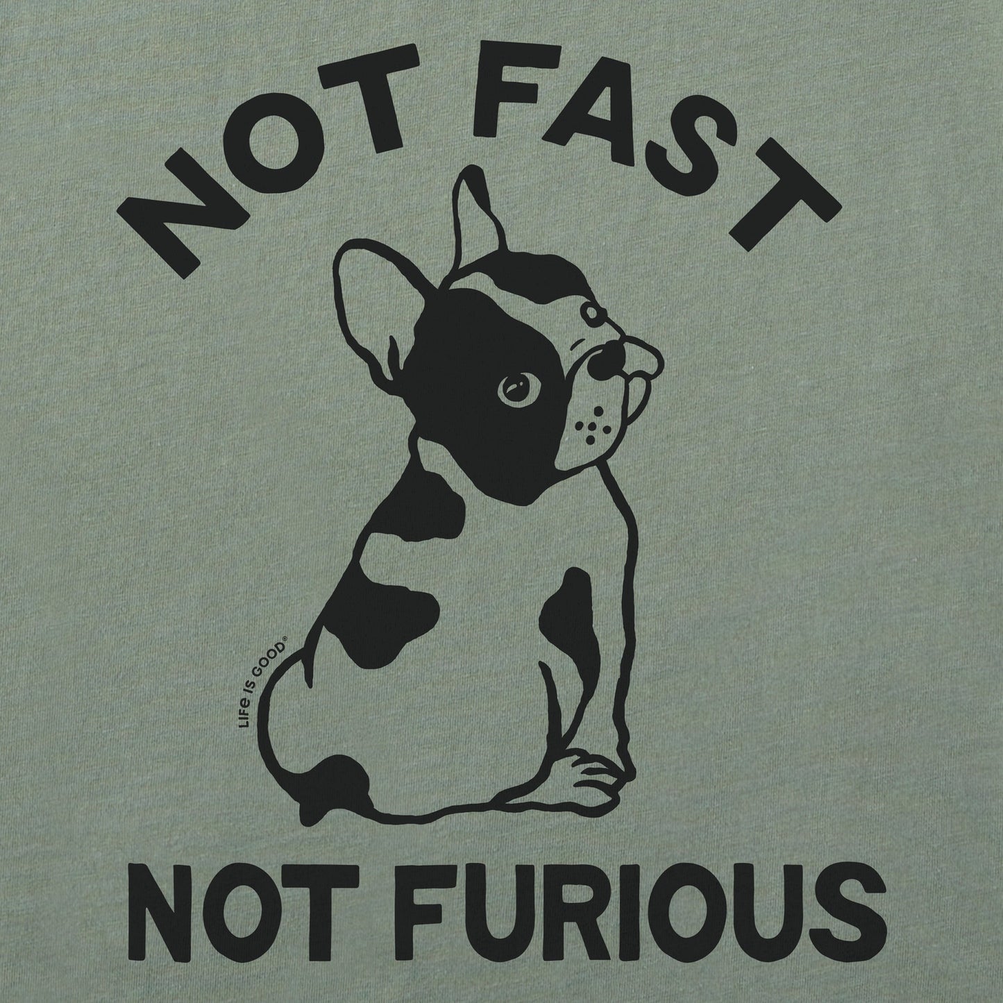 Men's Not Fast Not Furious Short Sleeve Tee