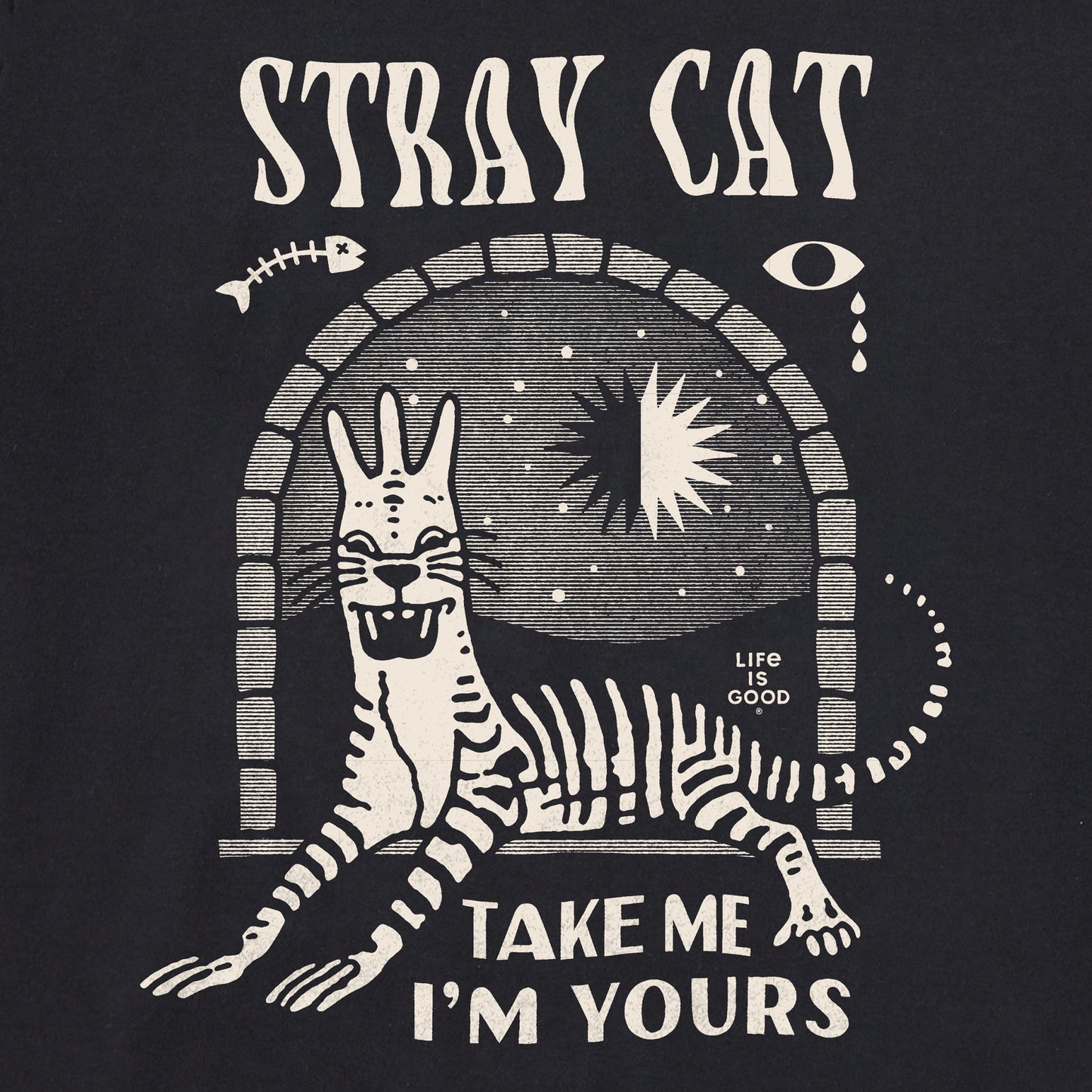 Women's Stray Cat Short Sleeve Crusher Boxy Tee