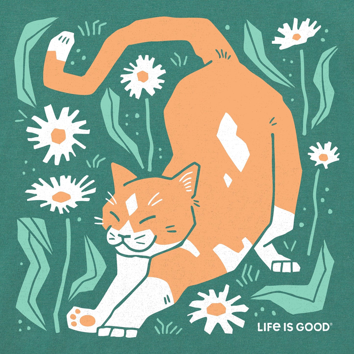 Women's Big Stretch Cat Short Sleeve Crusher Boxy Tee