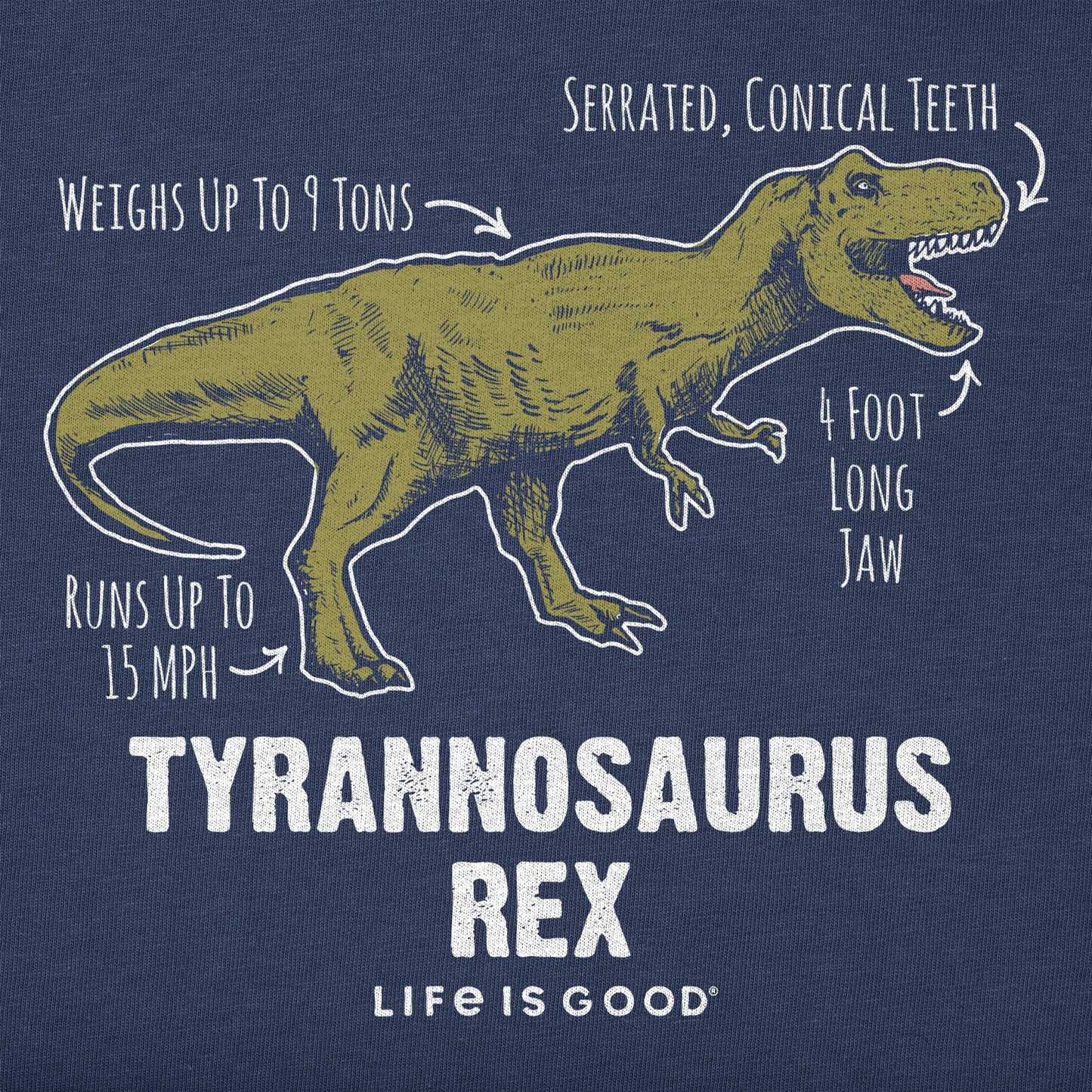 Toddler Tyrannosaurus Rex Short Sleeve Crusher Tee
